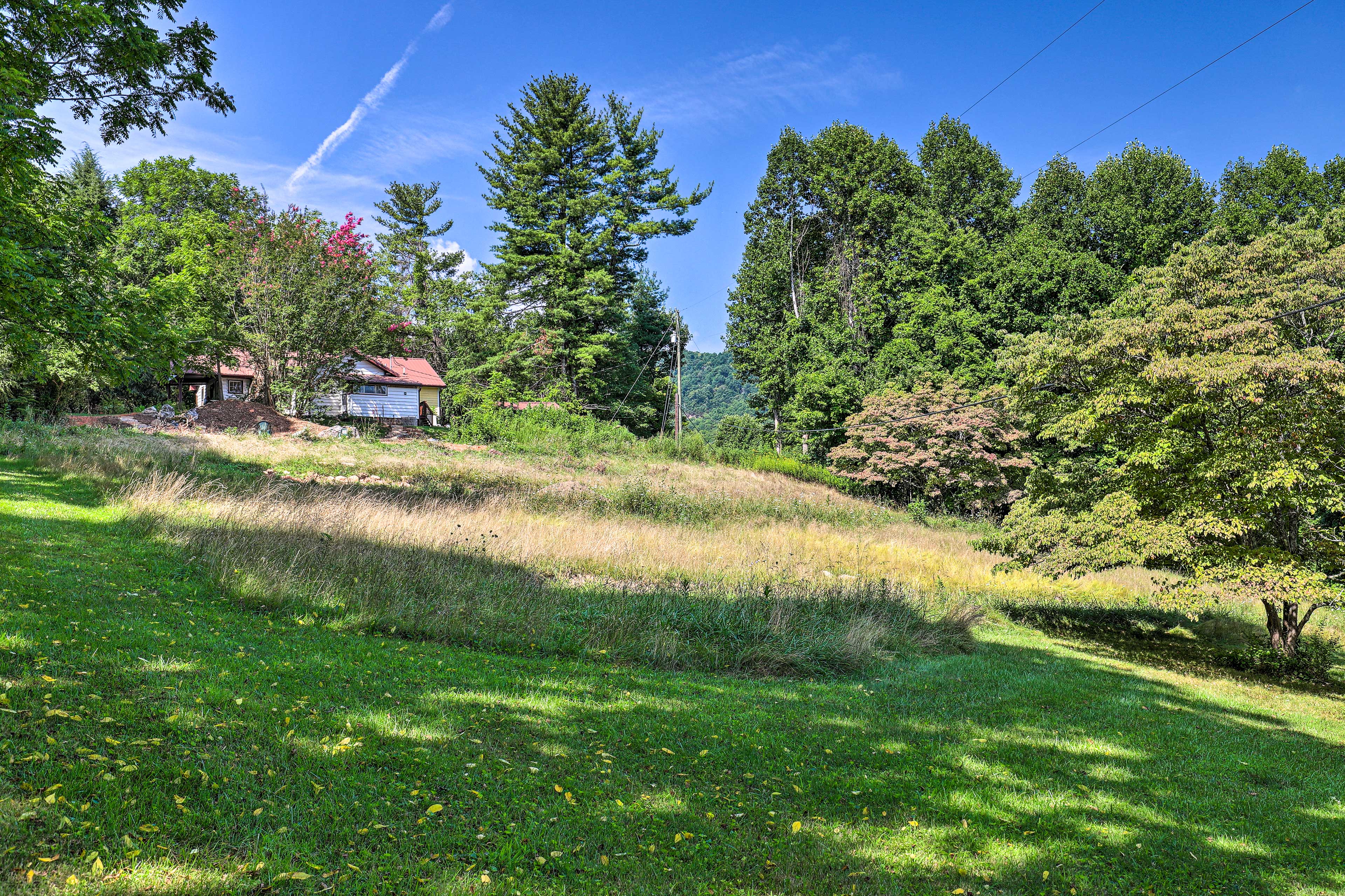 Property Image 2 - ’Momma Rhodes’ Rustic Blue Ridge Cabin on 4 Acres