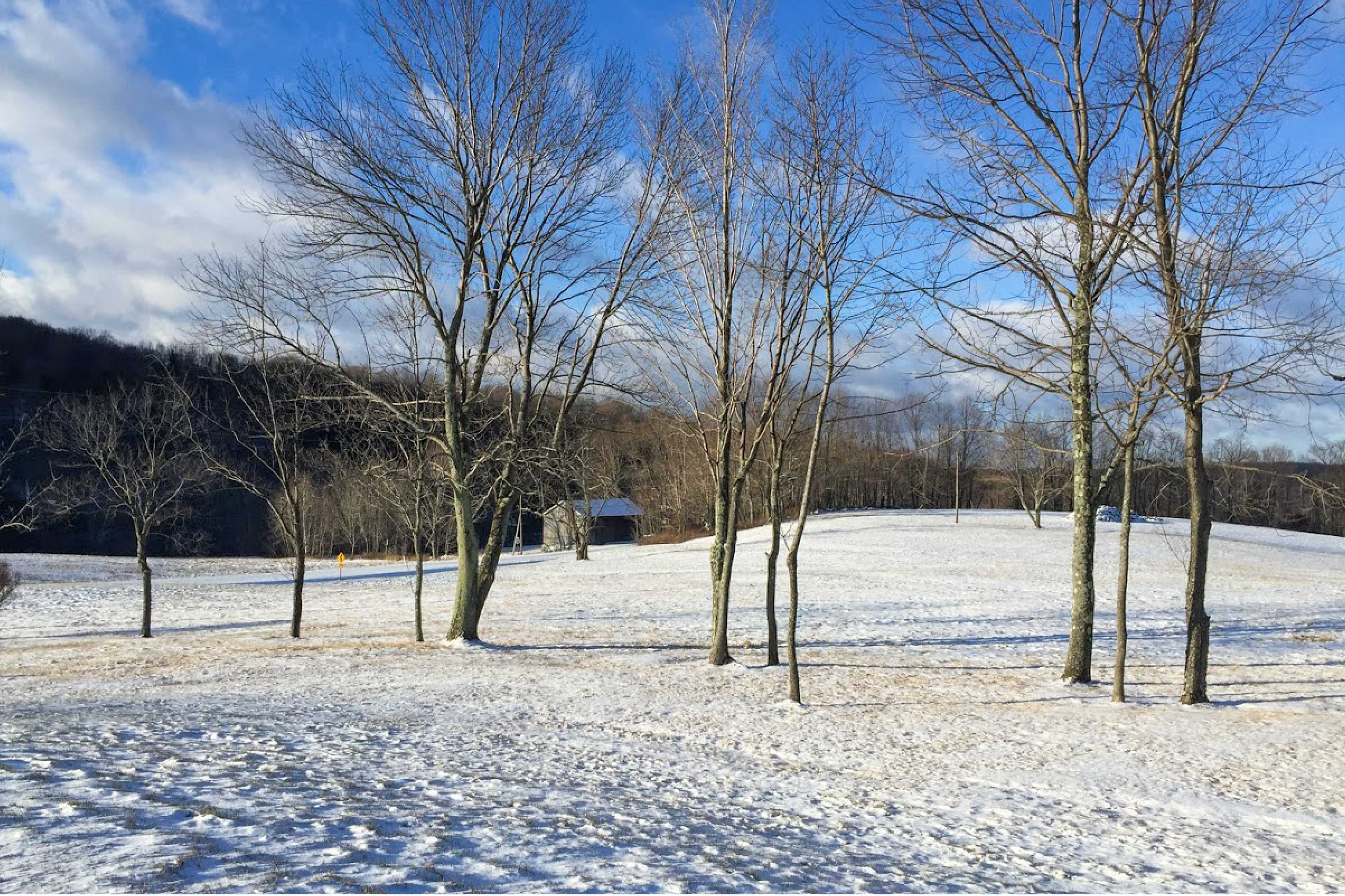 Poconos Home on 100 Private Acres: Hike & Fish!