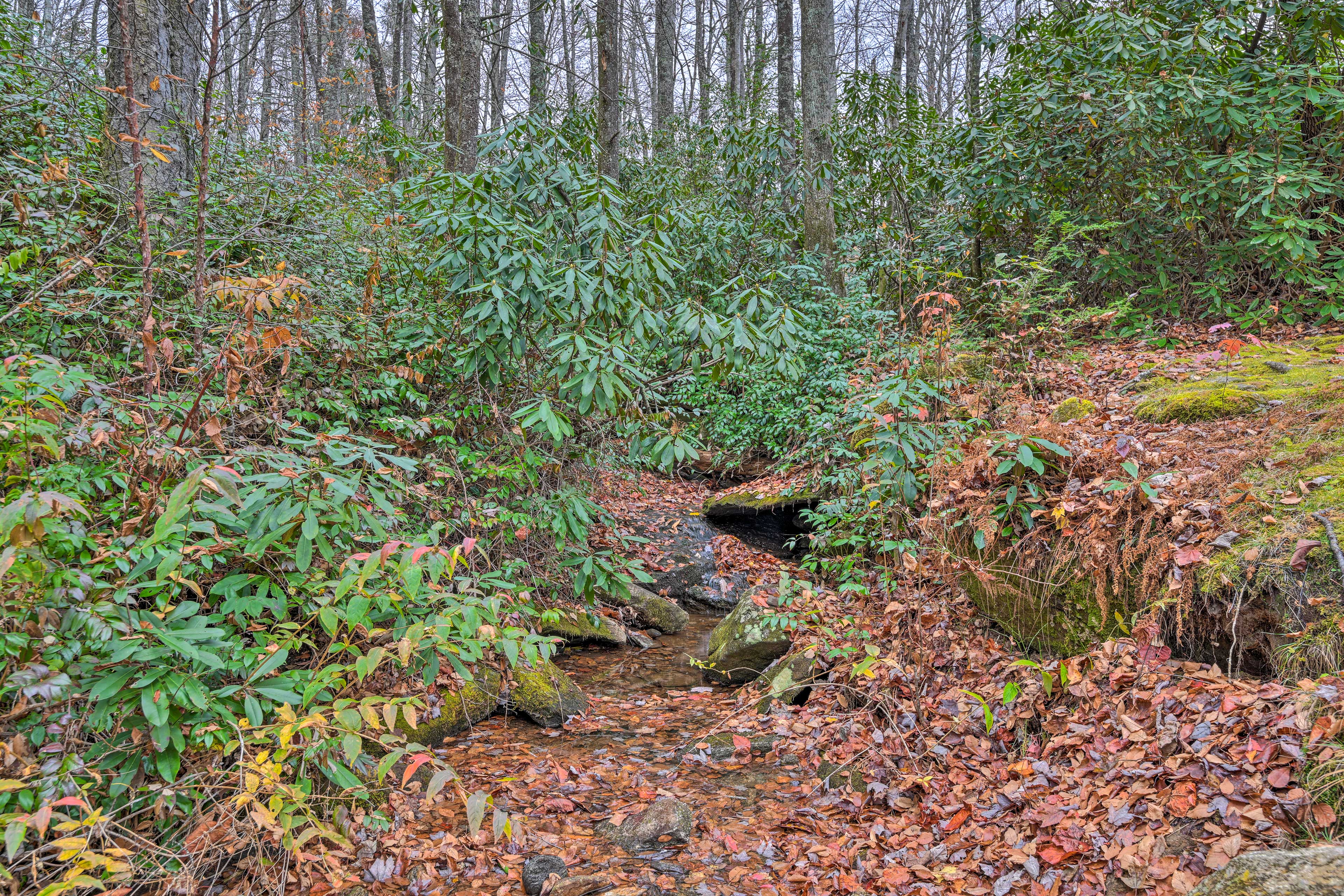 Creekside Family Retreat by Waterfalls & Hiking!