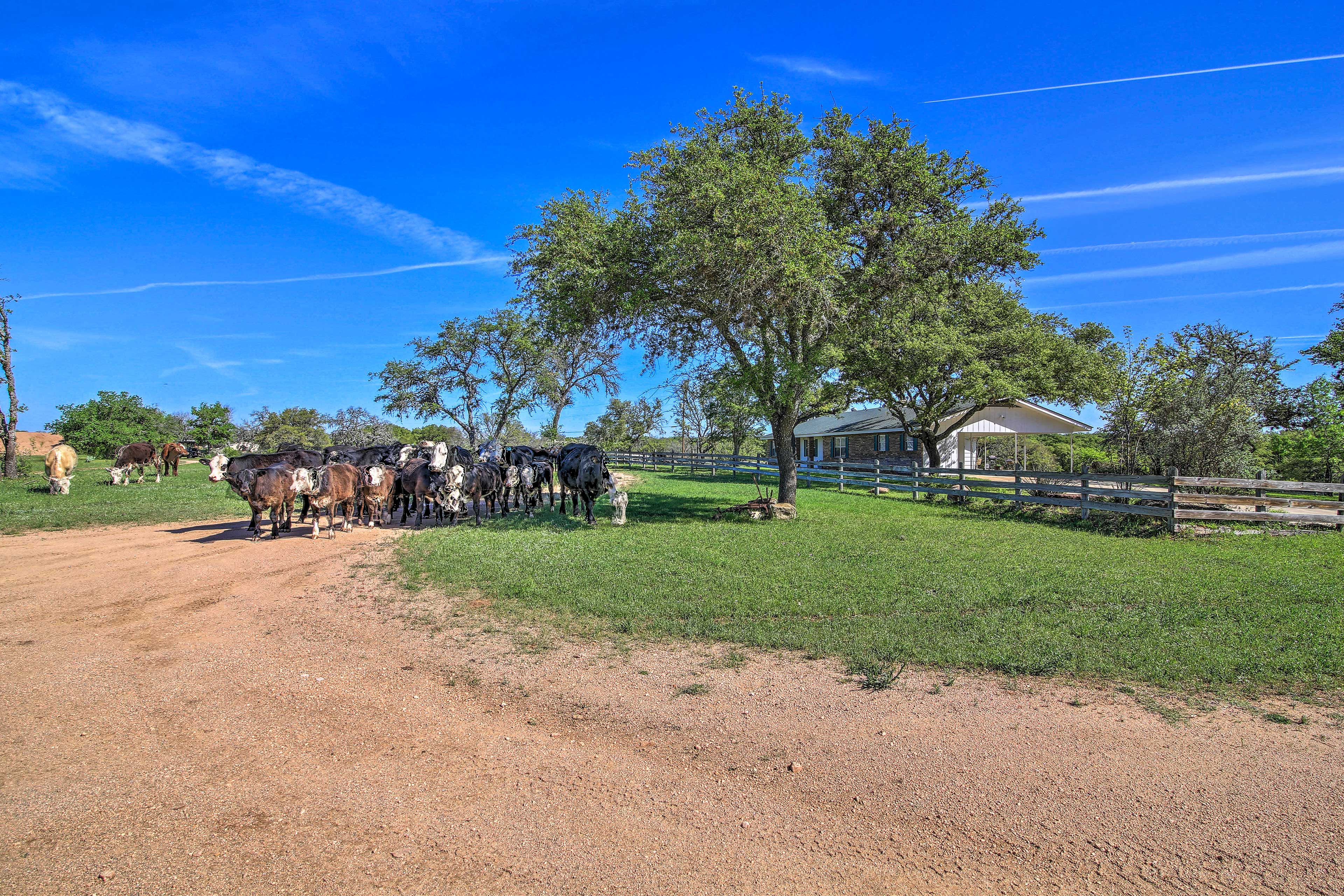 Property Image 2 - Historic ’Hoffmann Ranch Haus’ Near Wineries!