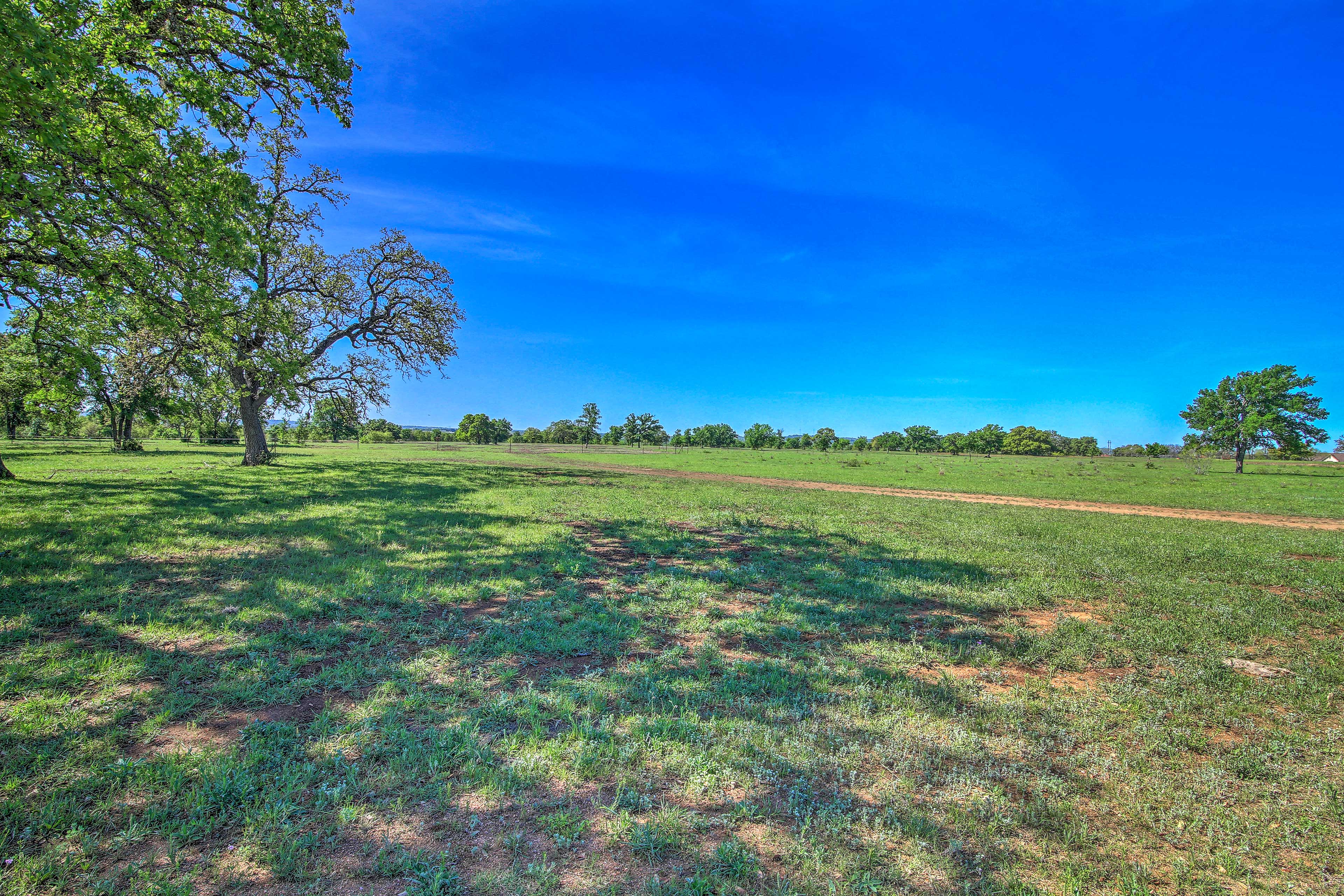 Property Image 1 - Historic ’Hoffmann Ranch Haus’ Near Wineries!