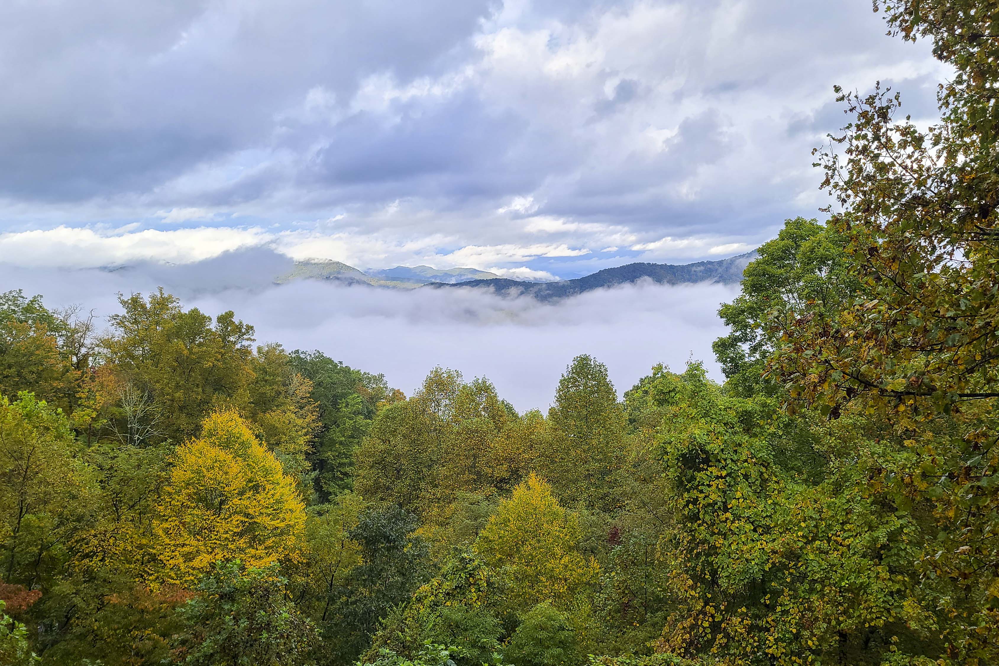 Property Image 2 - Smoky Mountain Cabin w/ Hot Tub & Views!