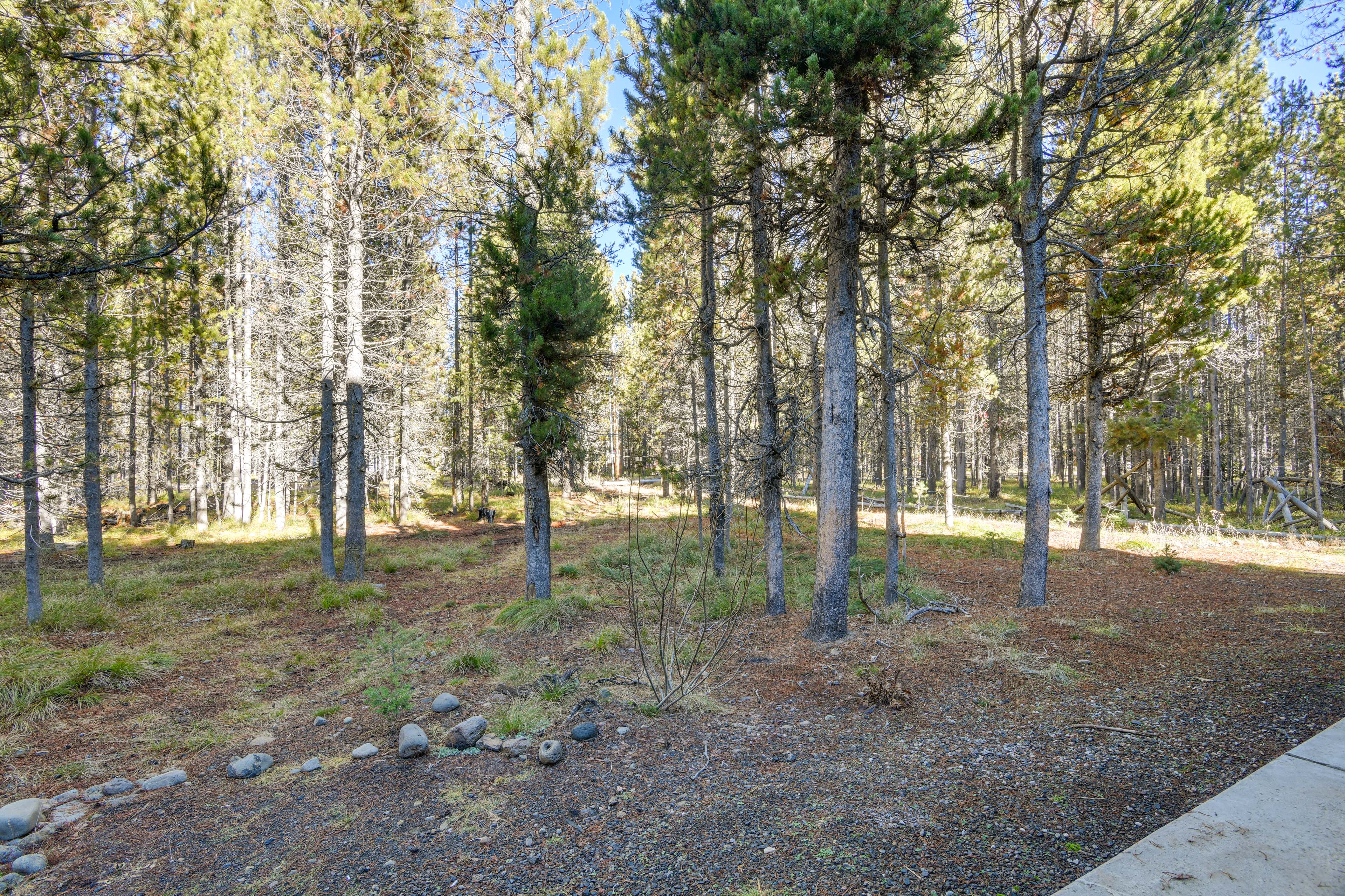 Outdoor Adventure Hub ~ 20 Miles to Yellowstone!