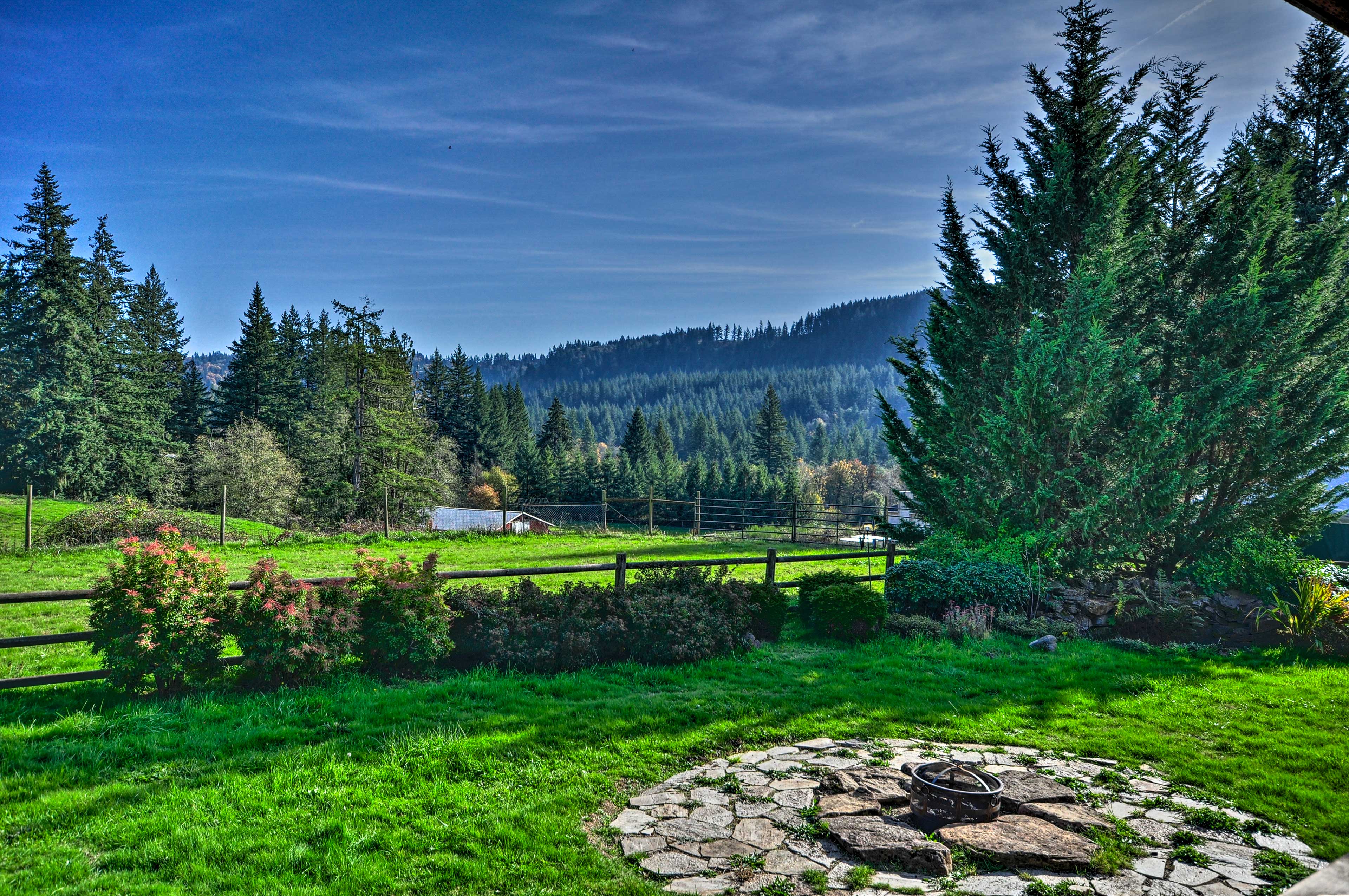 Property Image 2 - Peaceful, Pet-Friendly Washougal Paradise!