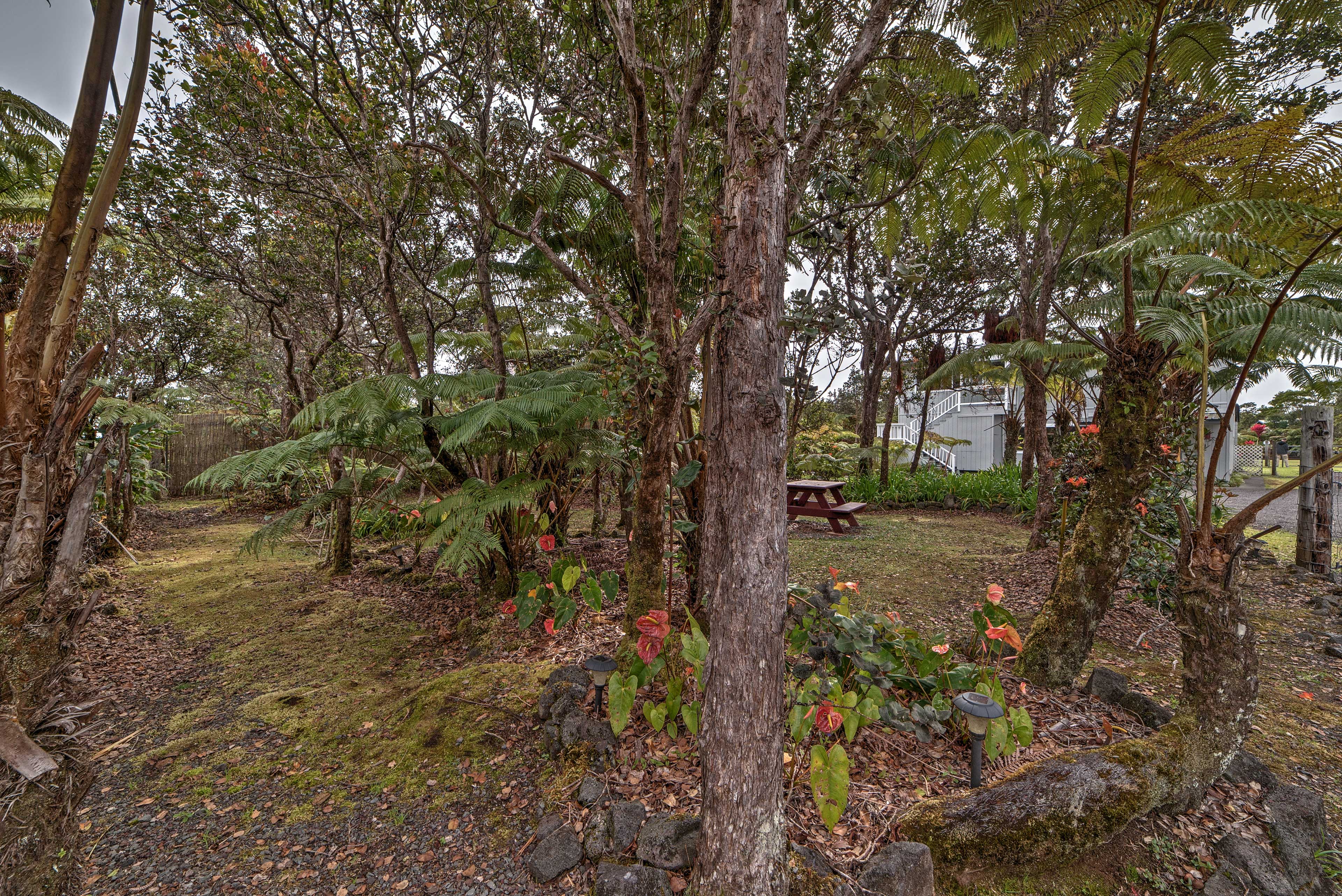 Tropical Volcano Bungalow < 4 Mi to Nat'l Park!