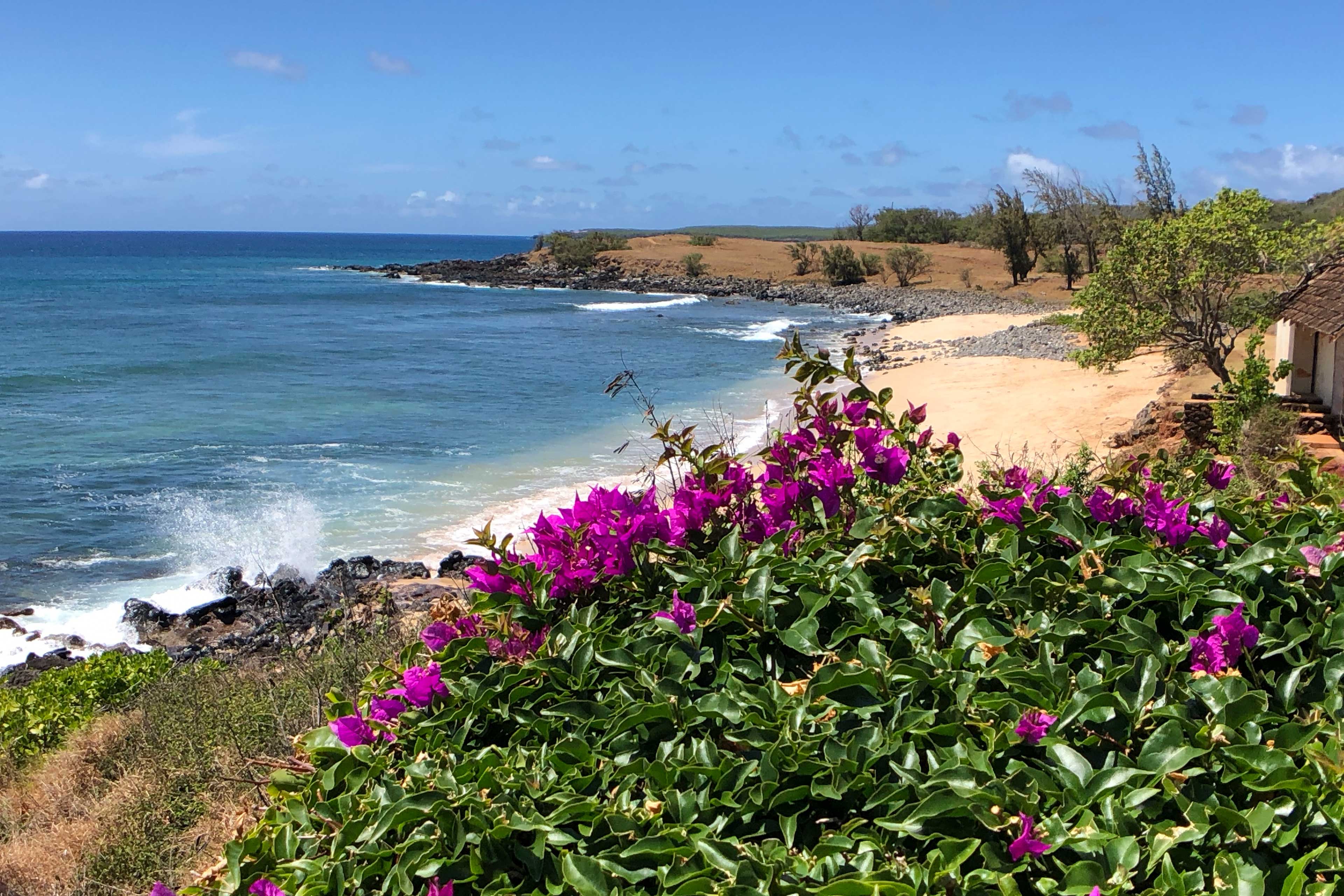 Property Image 2 - High-End Resort Condo Nestled on Molokai Shoreline