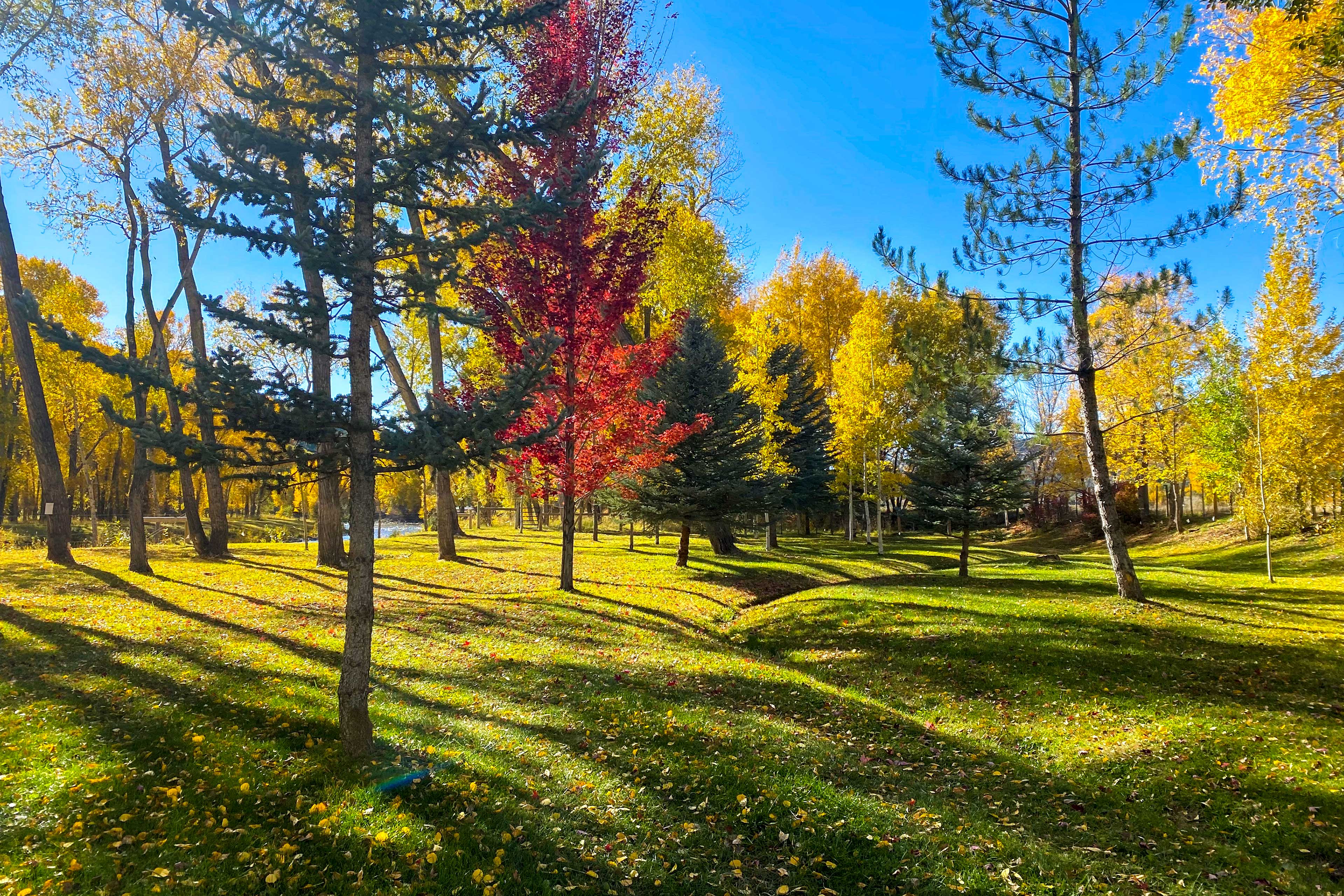 Dolores Ranch Cabin w/ Hot Tub & 1-Acre Yard!
