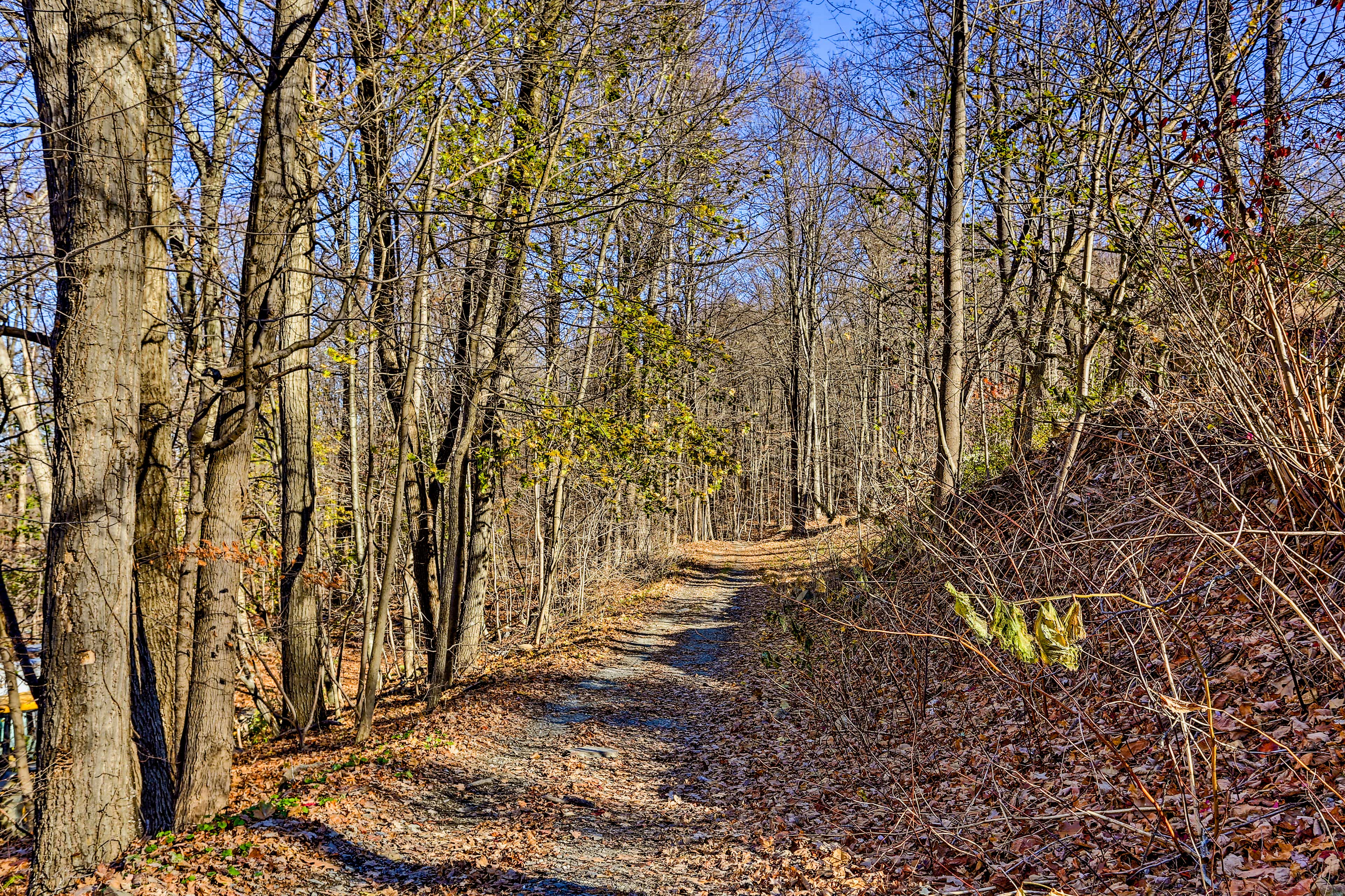 Property Image 2 - Charming Beacon Apt w/ Fire Pit: Near Hiking!