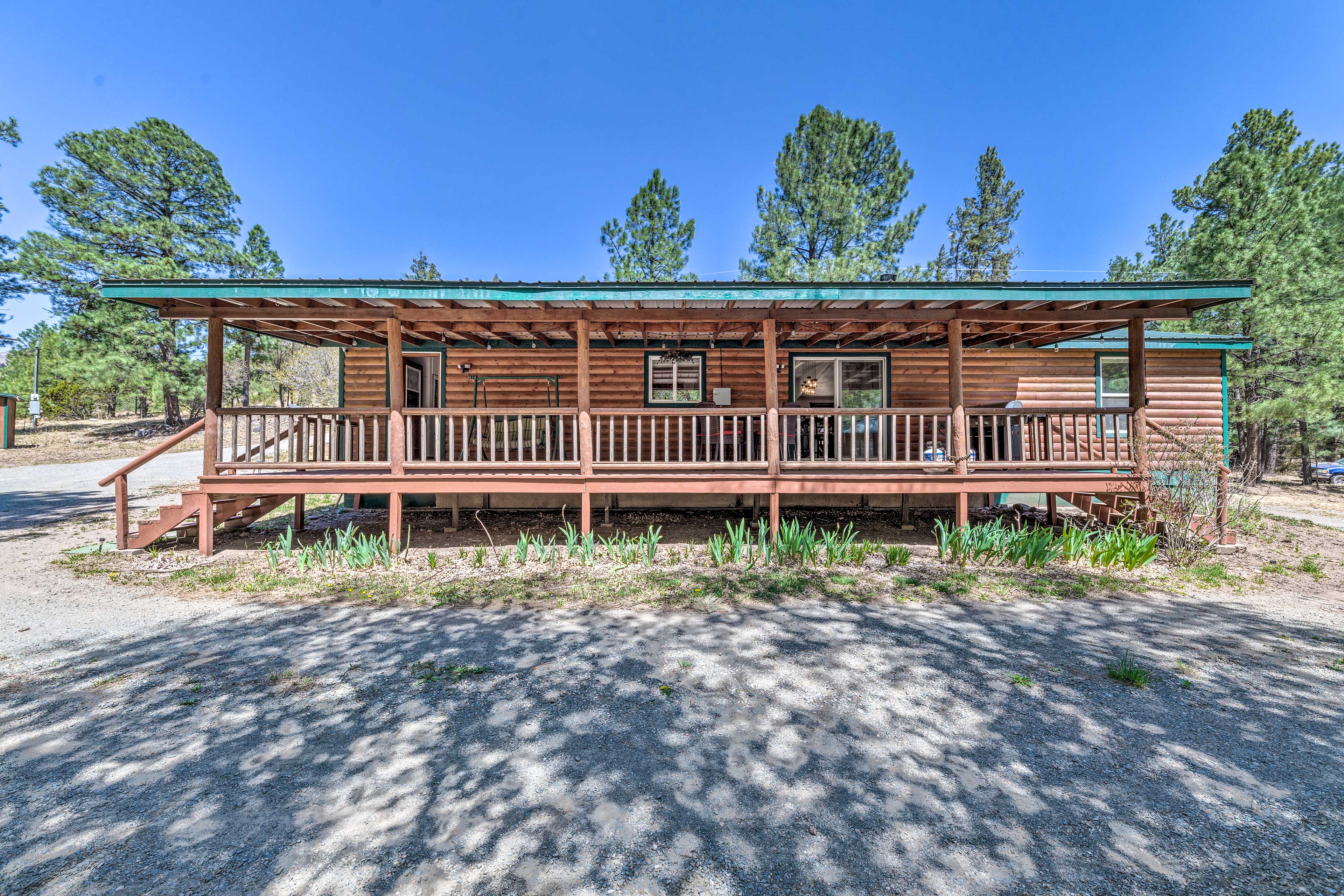 Property Image 1 - Tree-Lined Alto Cabin: Near Parks & Trails!
