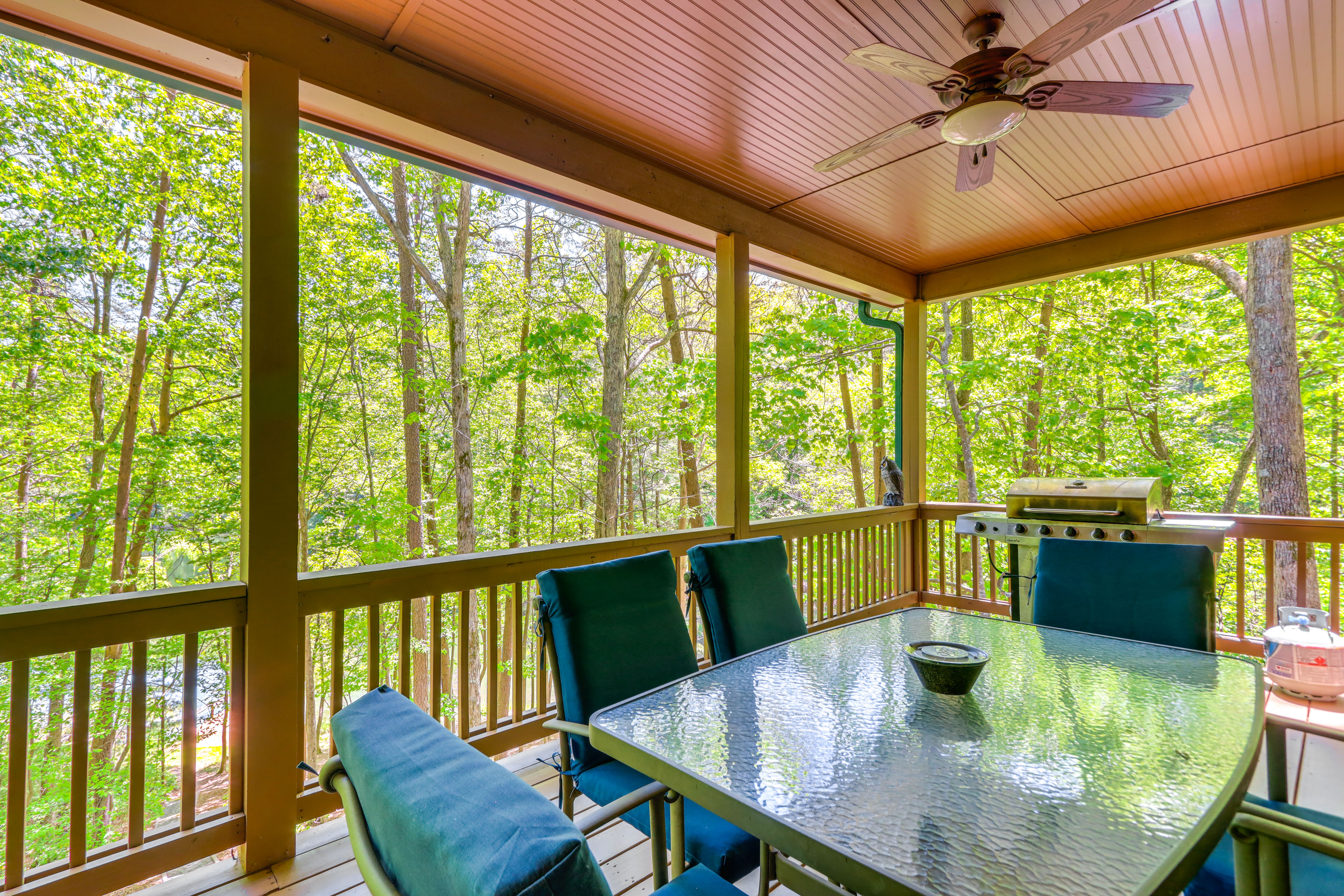 Property Image 2 - Lakeside Cabin: Game Room, Dock, Orchard, Wineries