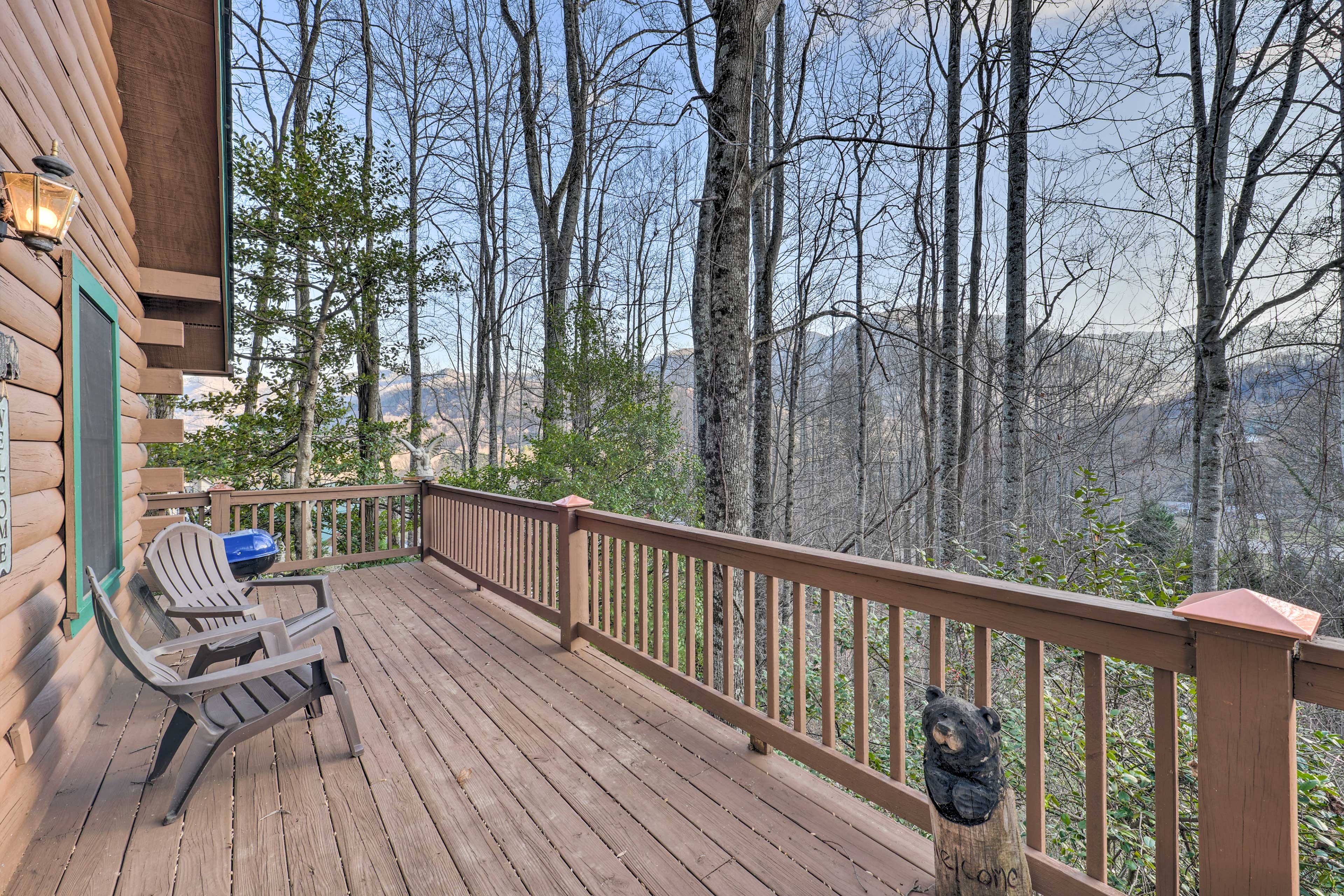 Property Image 1 - Cabin w/ Fire Pit: 5 Mi to Cataloochee Skiing
