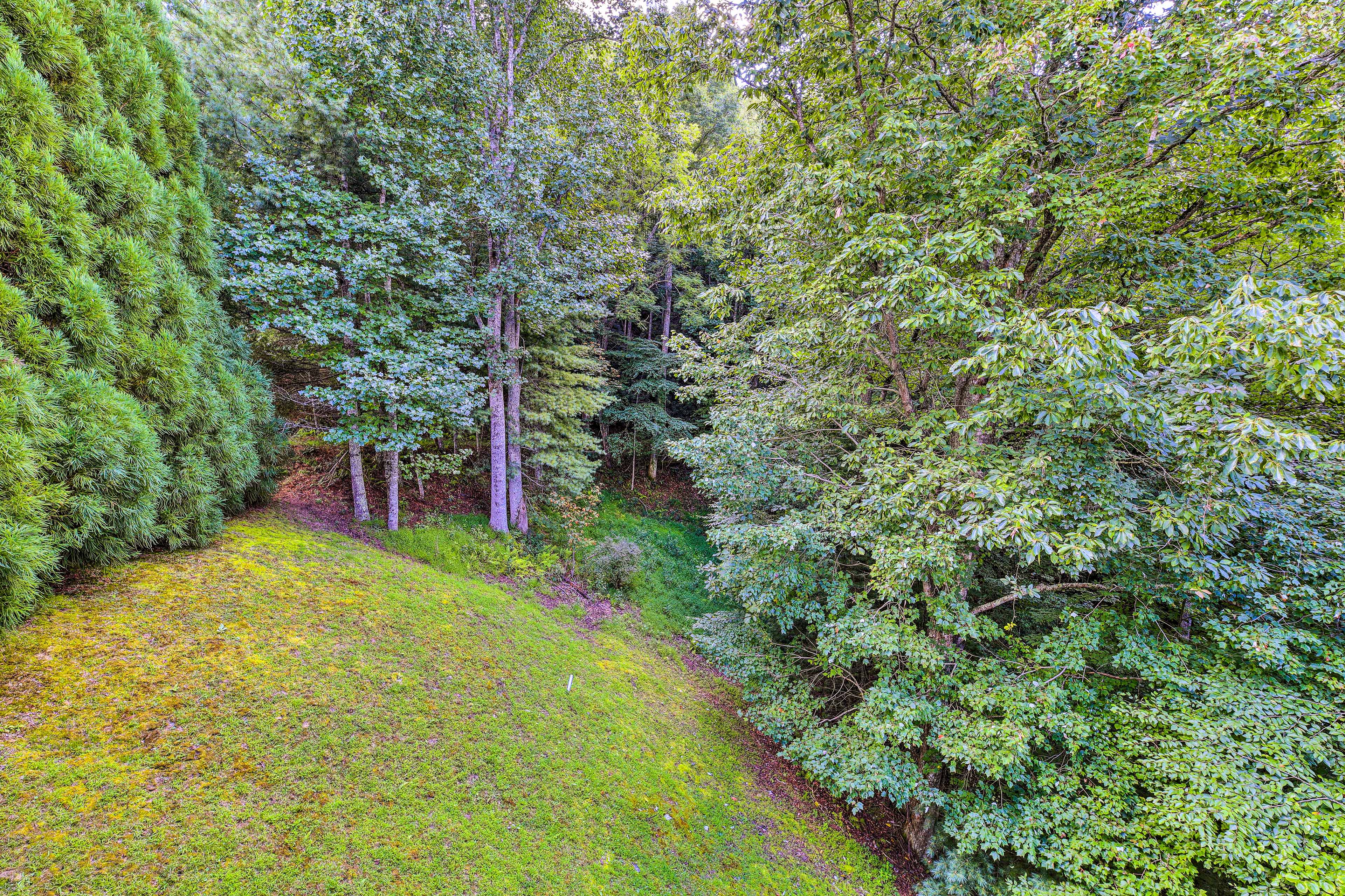 River Access & Game Room: Piney Creek Cabin!