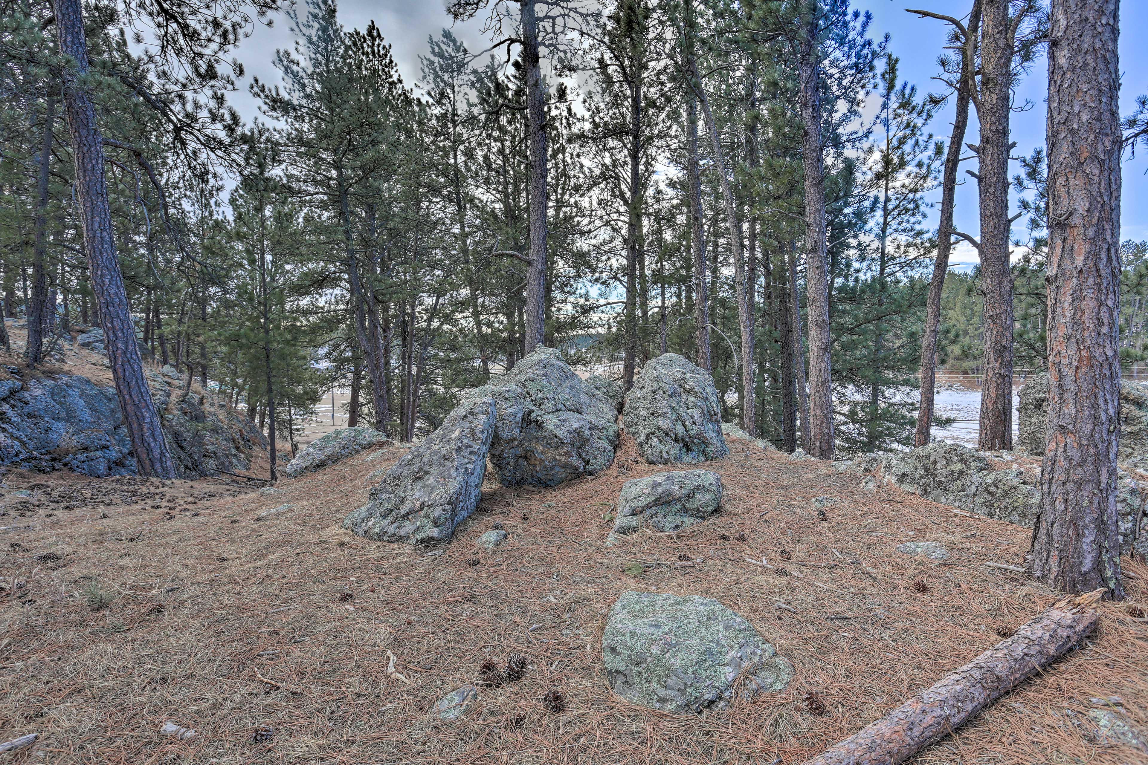 Property Image 2 - Cozy & Private Custer Cabin w/ Hiking On-Site