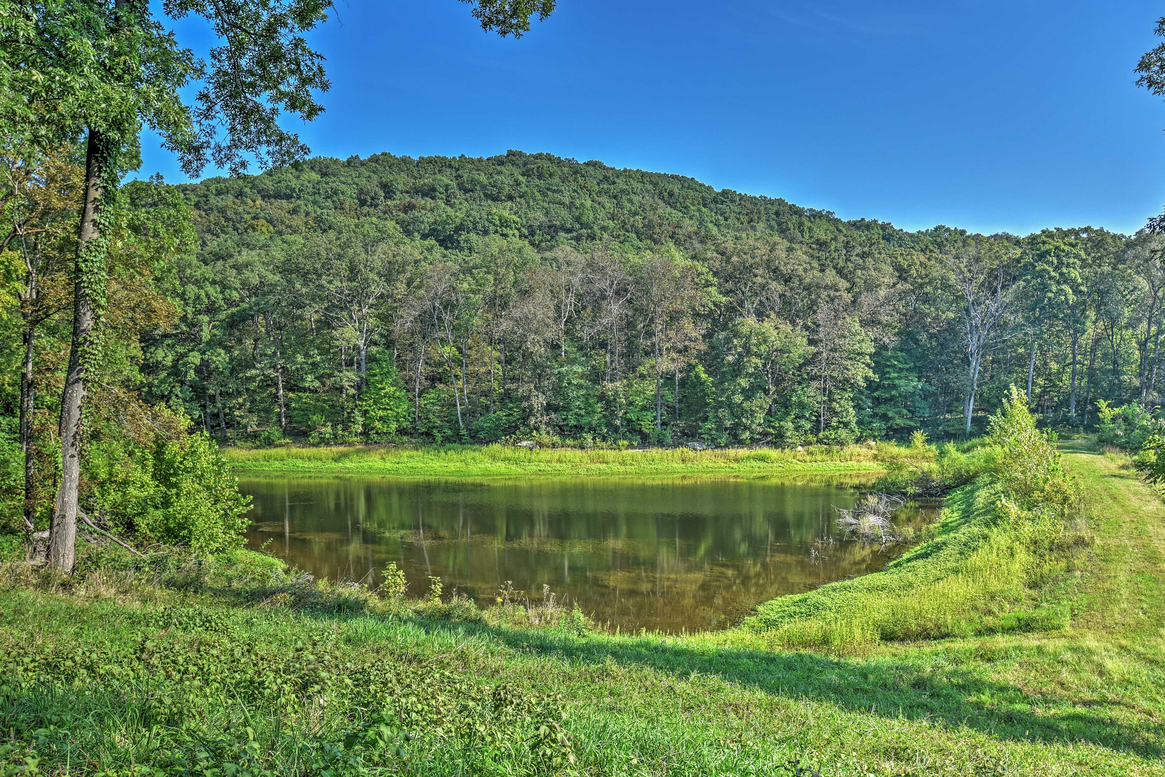 Hillside Cabin on 43 Acres w/ Private Lake & View!