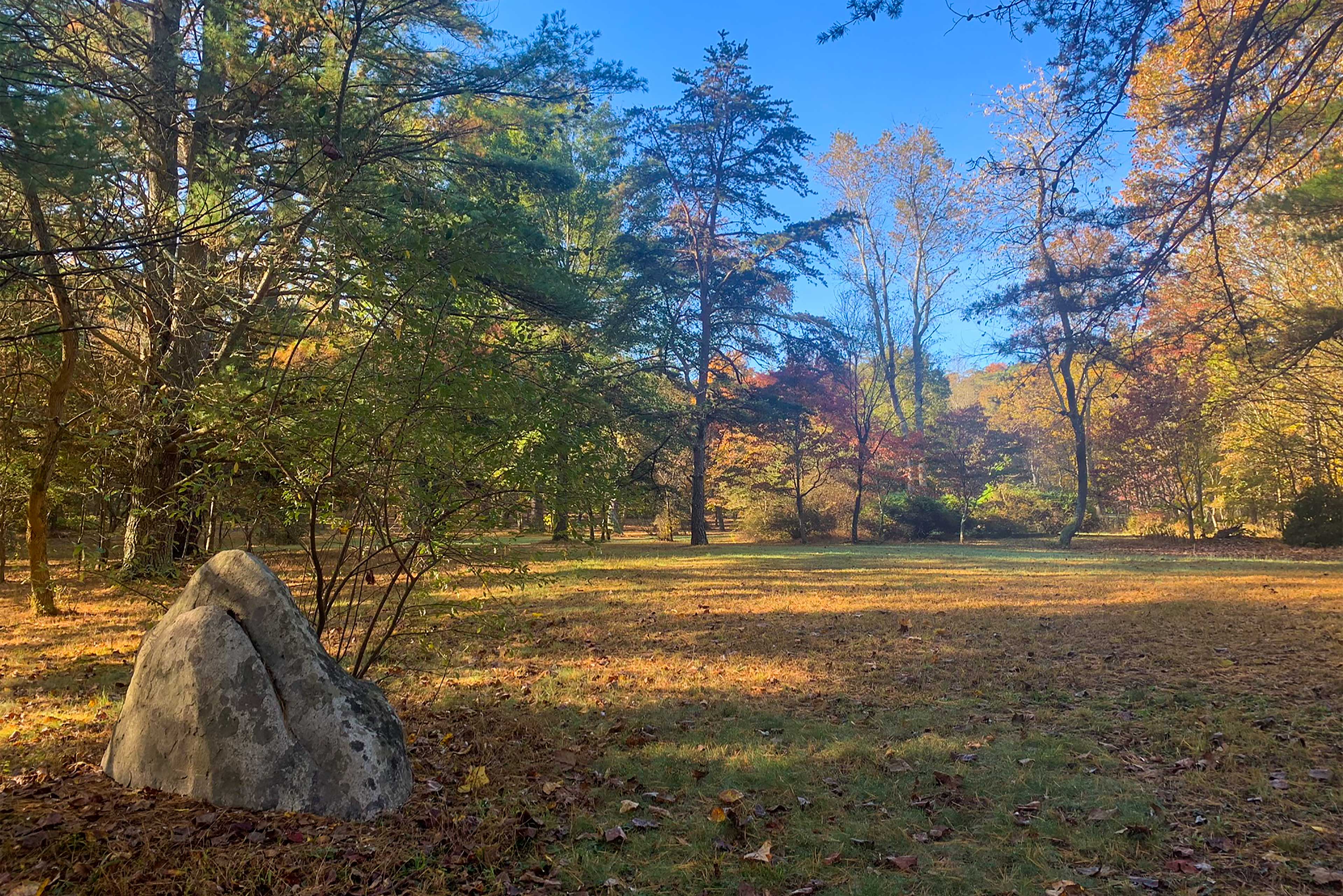 ‘Riversong’ Luxe Cabin w/ Fire Pit on North River