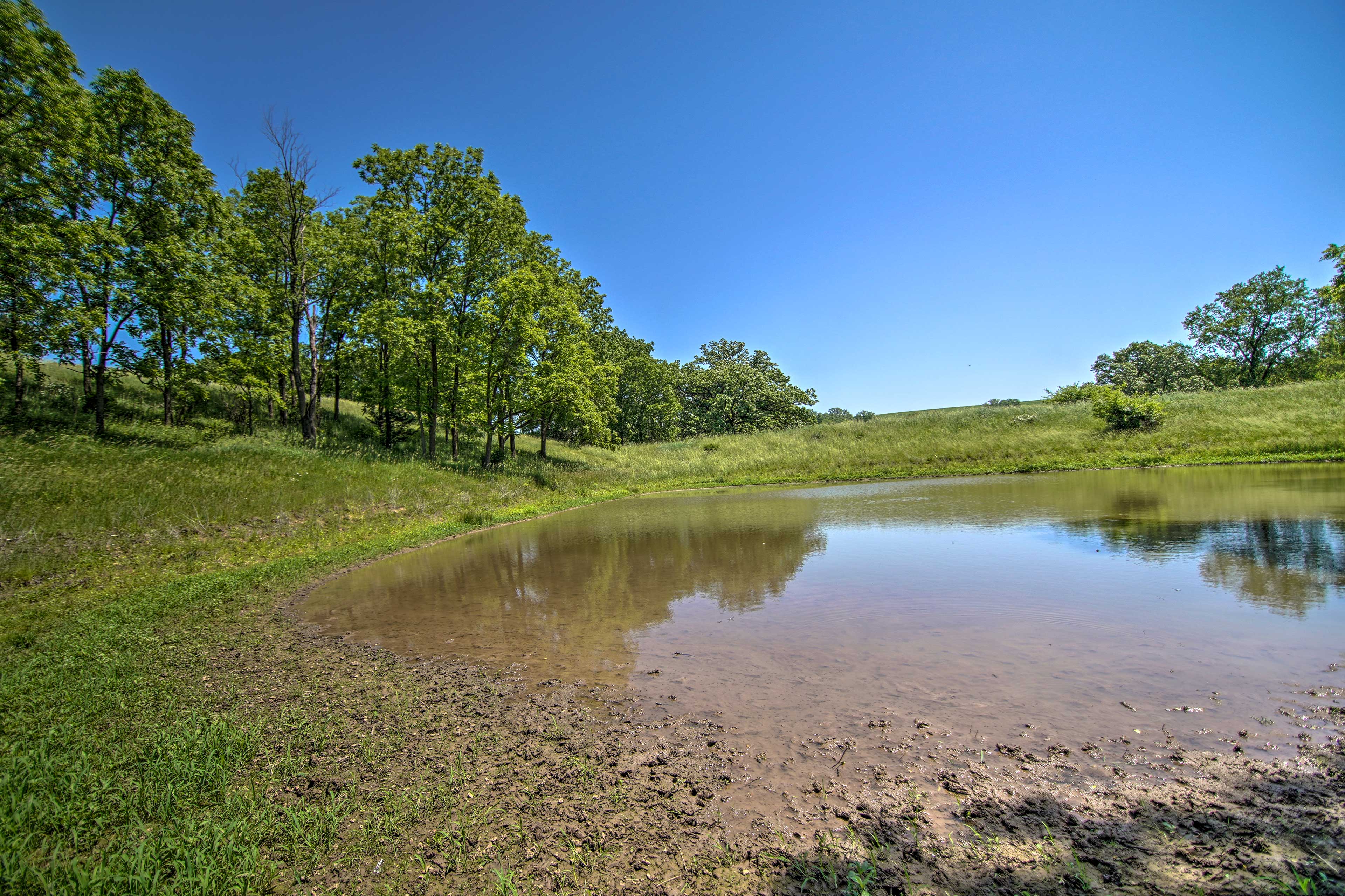 Property Image 2 - Cabin on 35-Acre Farm in Blanchardville w/ Trails!