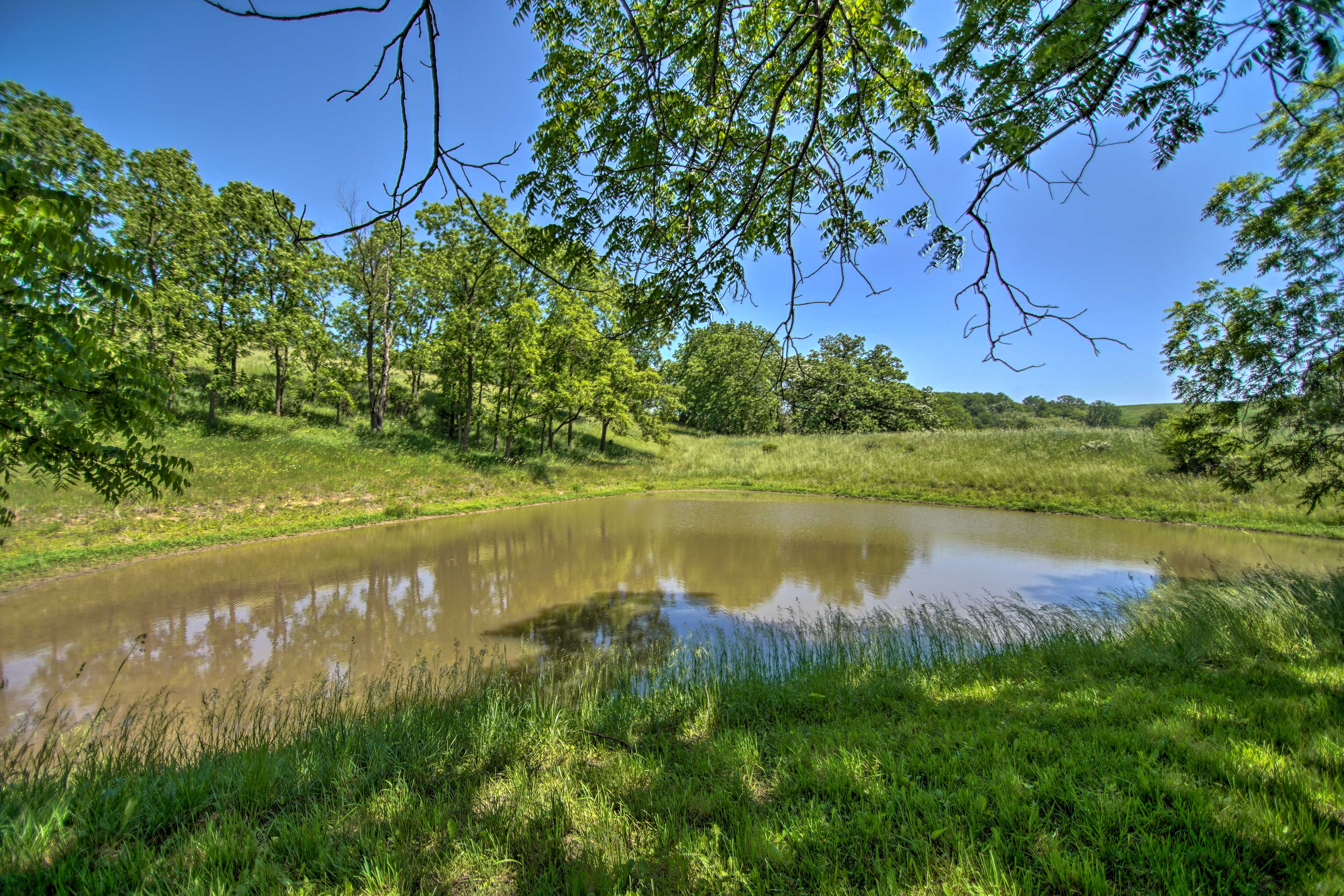 Property Image 1 - Cabin on 35-Acre Farm in Blanchardville w/ Trails!