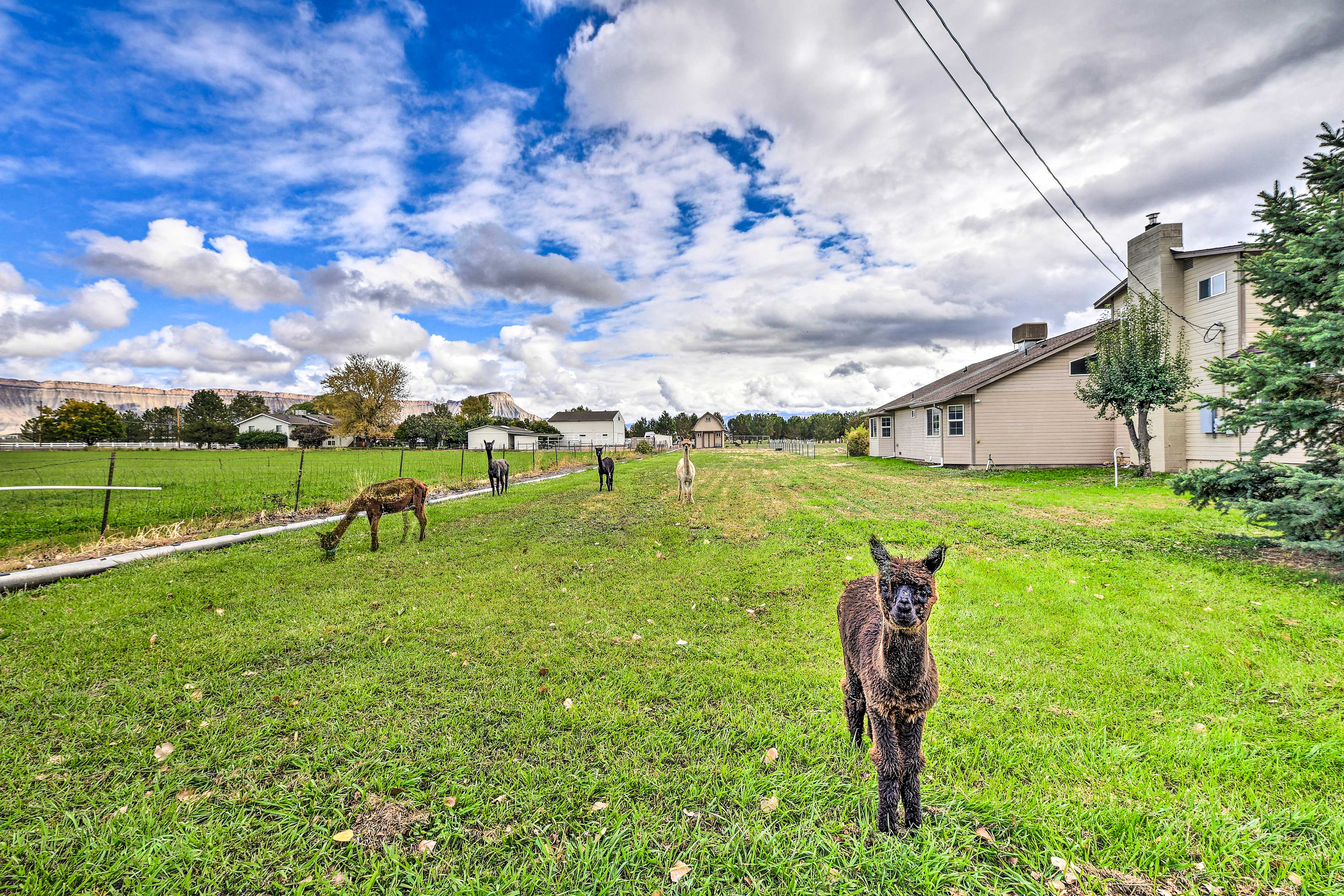 Property Image 2 - The Vineyard Country Farm Home at Grand Valley