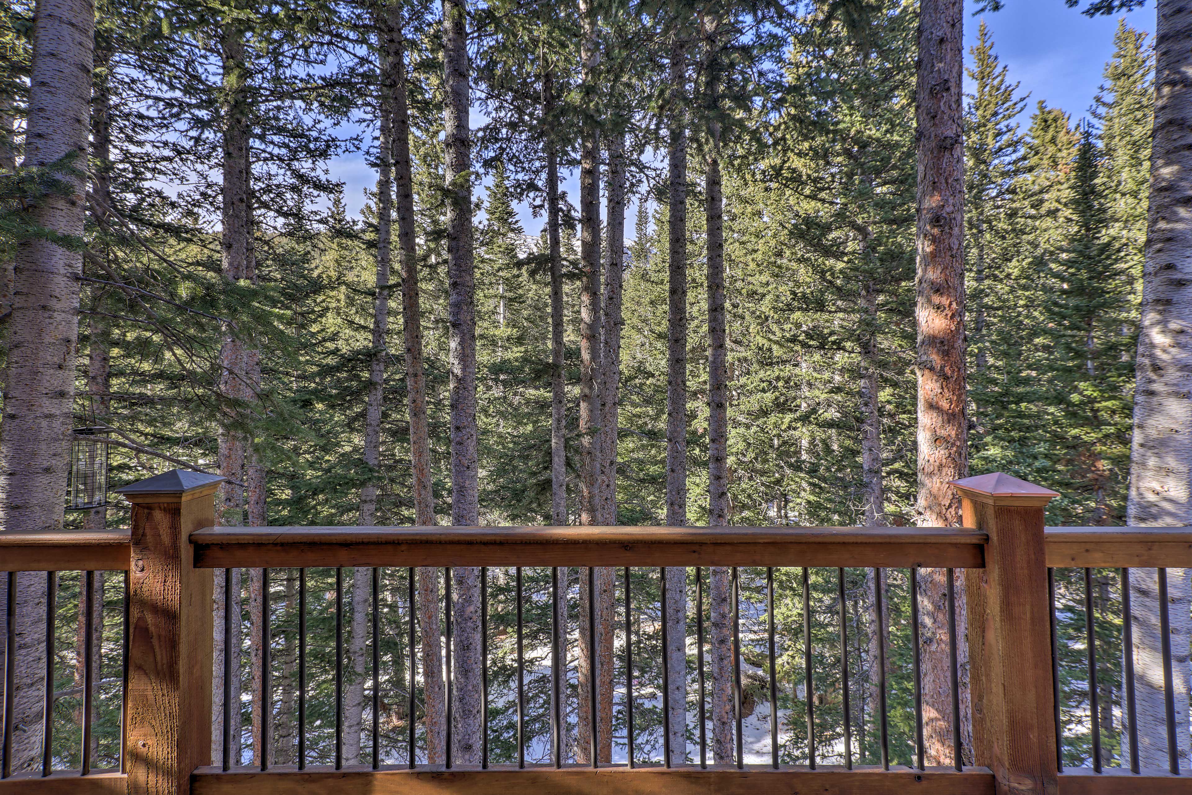 St Mary's Lakefront Cabin w/ Deck & Wood Stove!