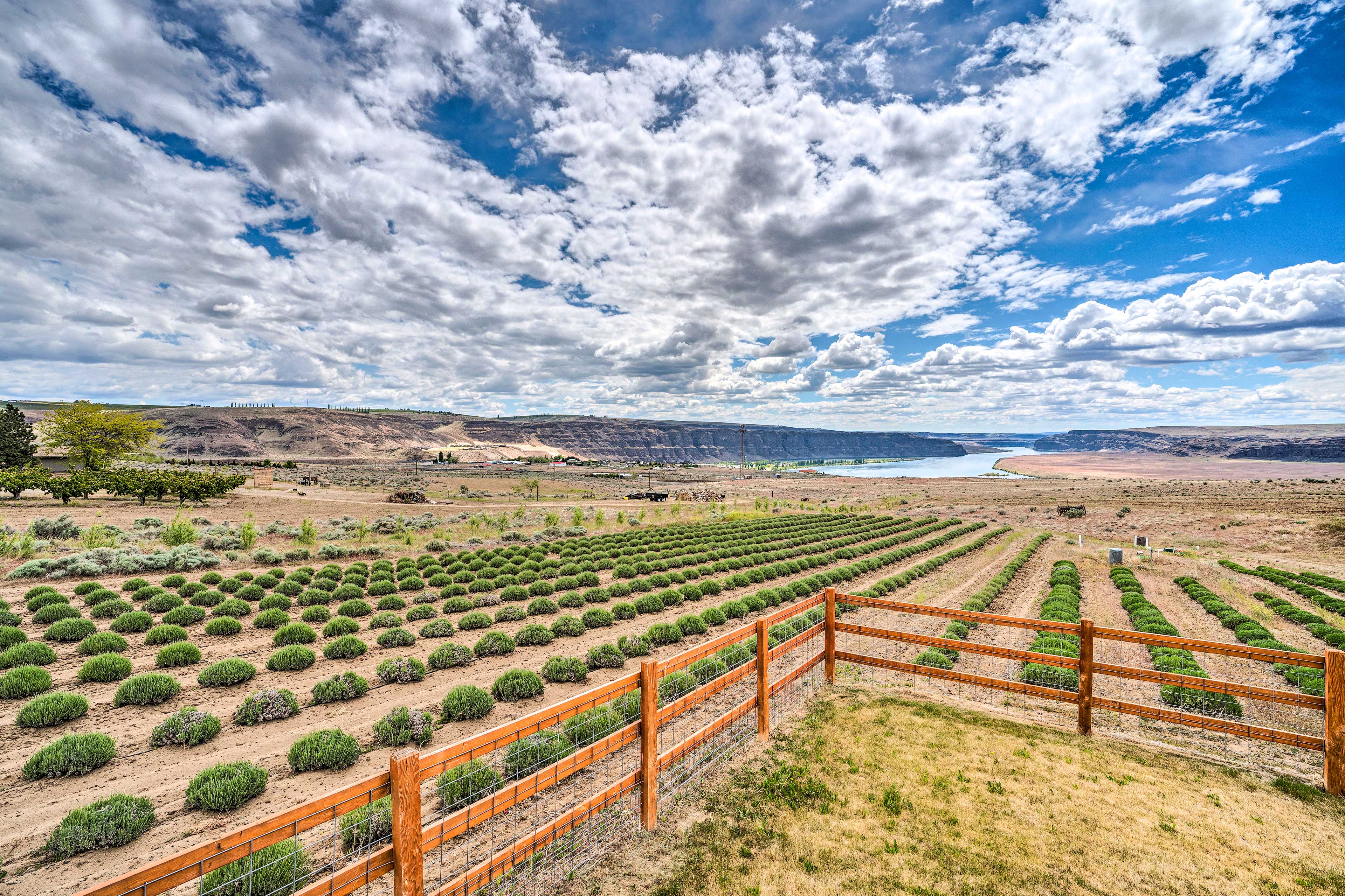 Quincy Home on Lavender Farm w/ River Views!