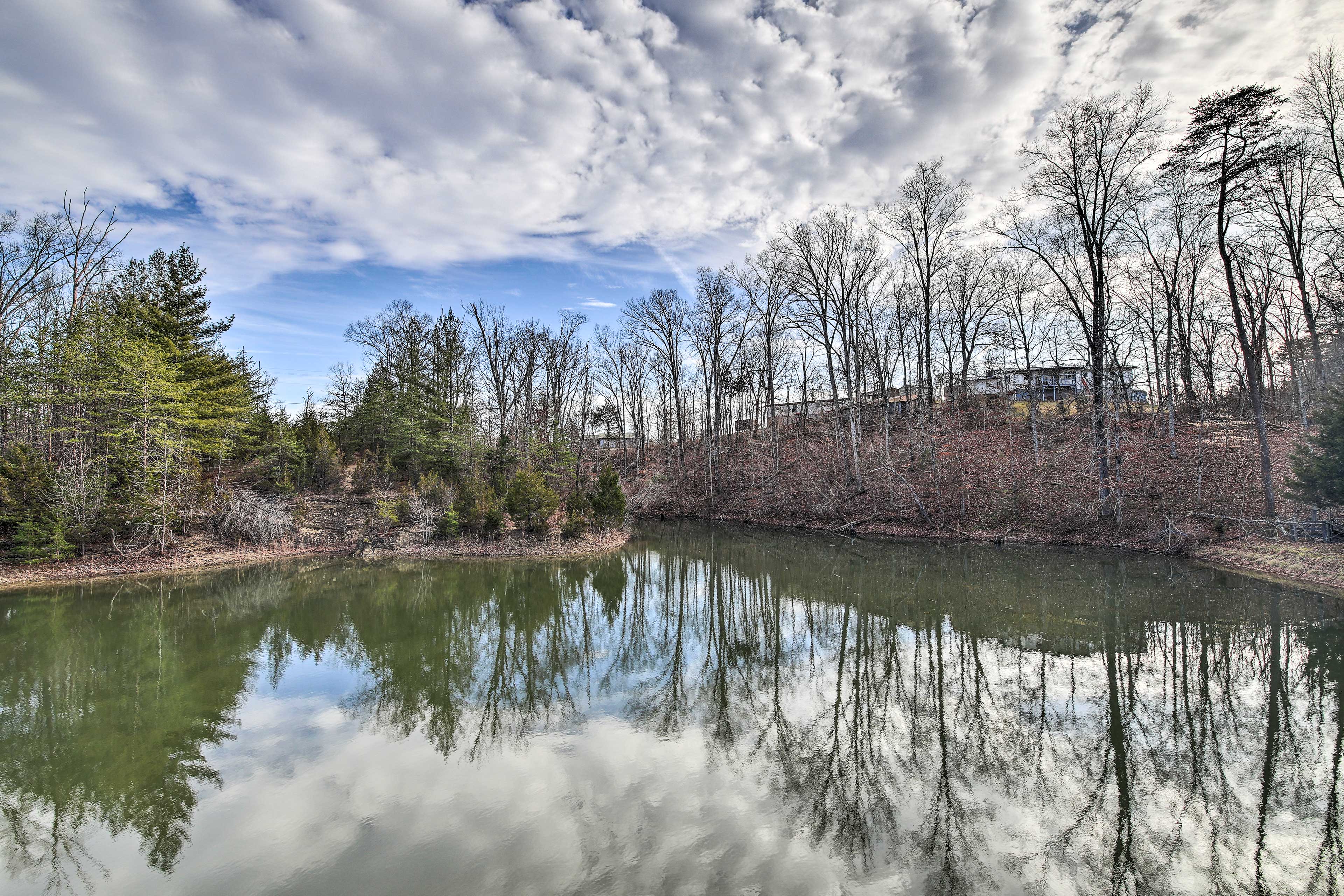 Property Image 2 - Strawberry Plains Cabin: Private Pond & Game Room!