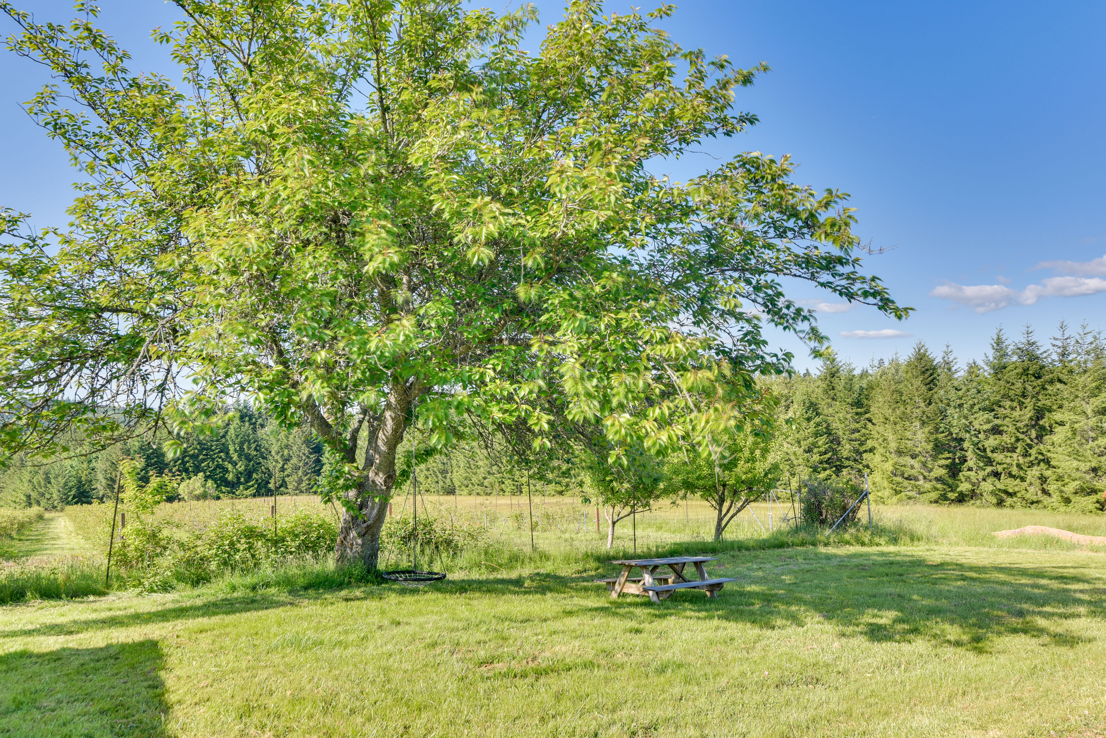 Property Image 2 - Rainier Home on 20 Acres w/ Blueberry Farm!