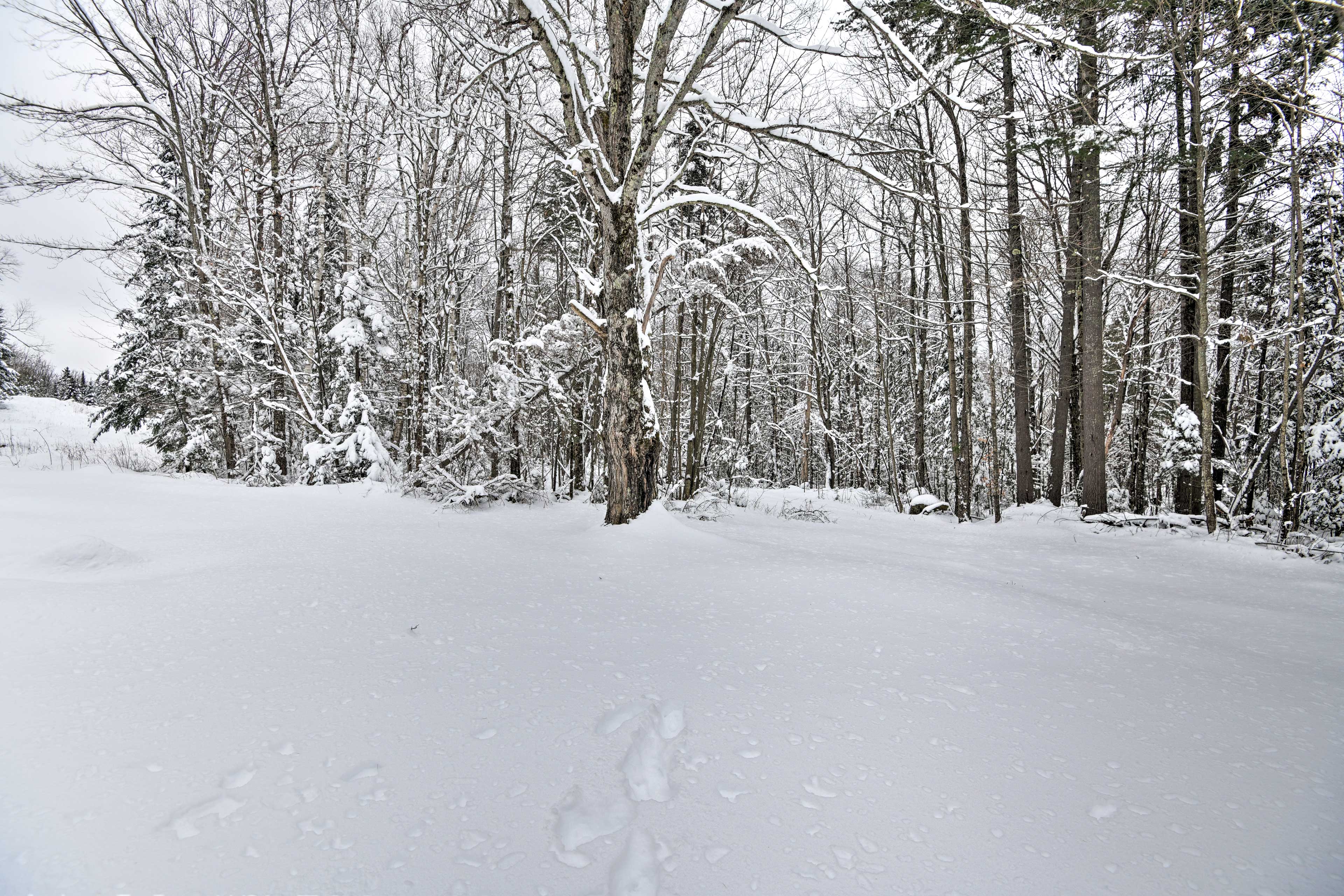 Property Image 2 - Secluded Home w/ Fire Pit, 8 Mi to Cannon Mountain