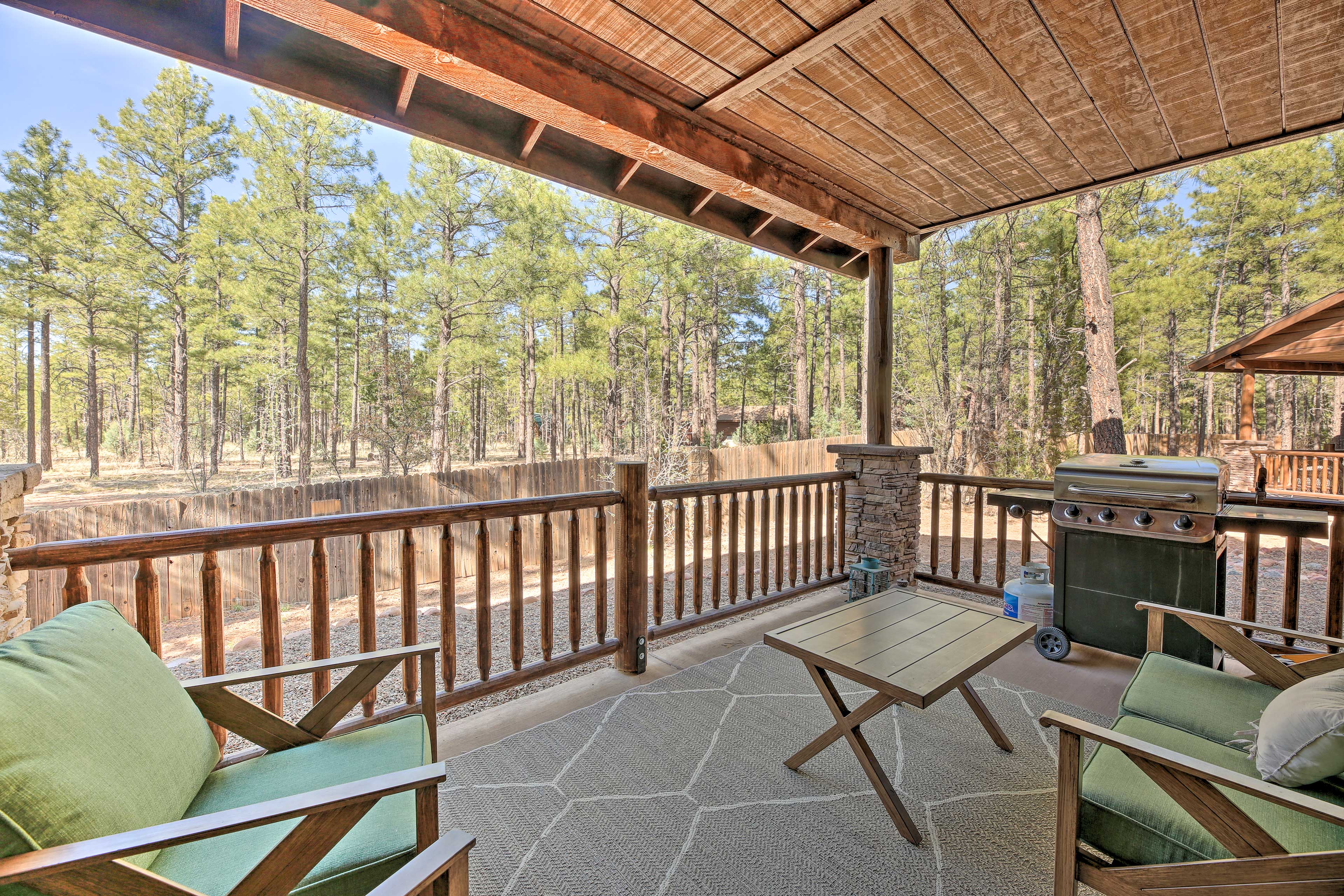 Property Image 2 - Torreon Mtn Cabin: Game Room, Paved Hiking & Golf!