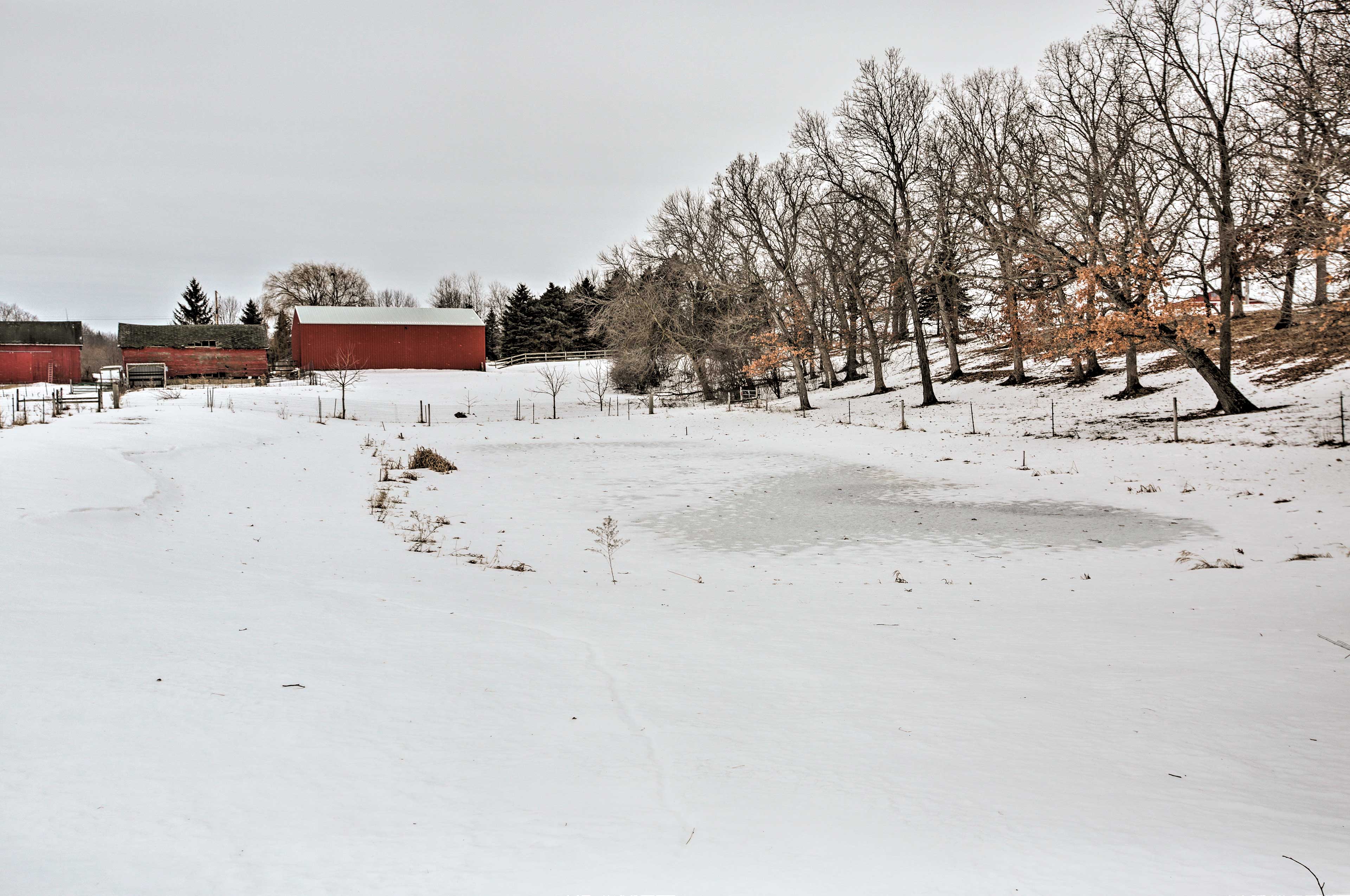 7-Acre Working Farm Near Lake Geneva: Pets Welcome