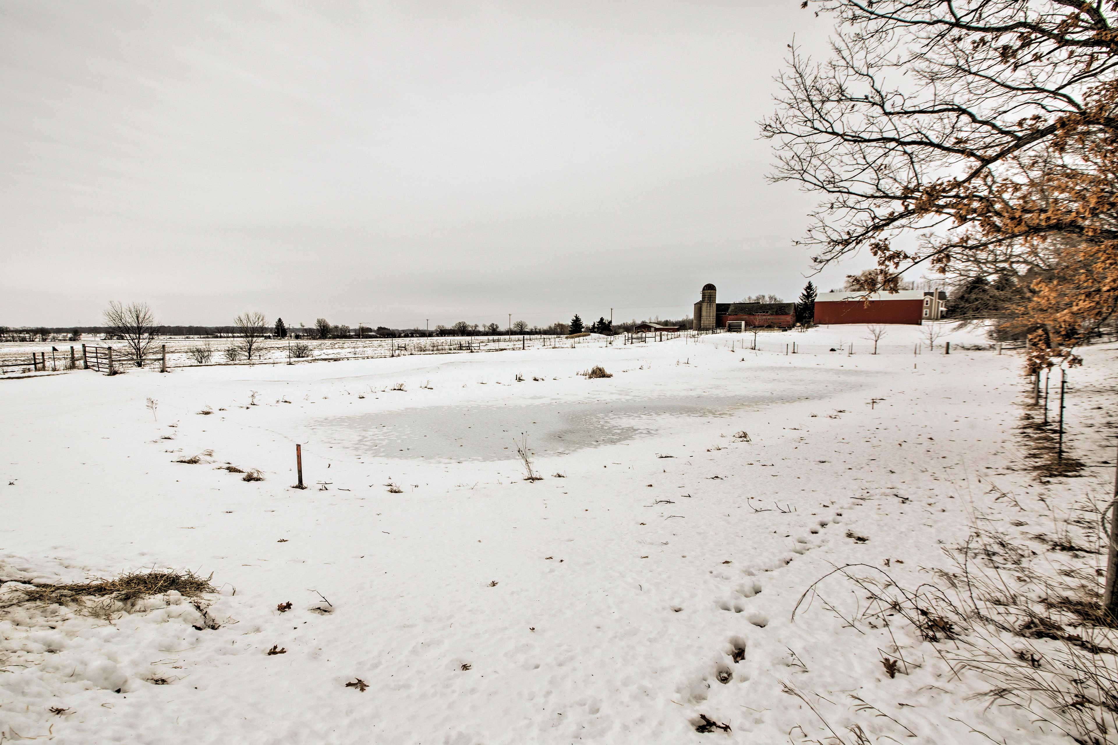 Updated Cabin on 7 Acres - Day Trip to Lake Geneva