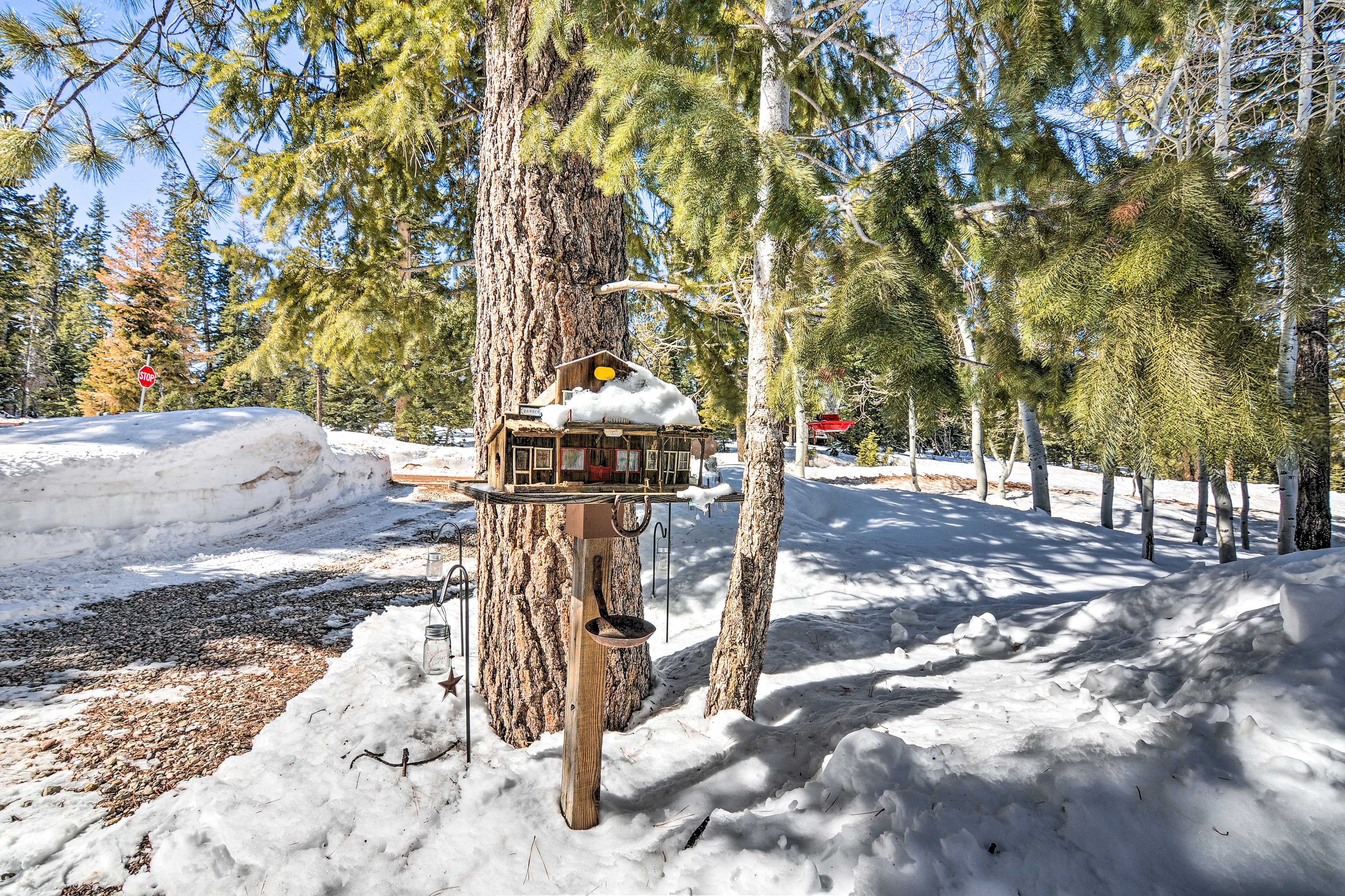 Property Image 2 - Unique Forest Cabin with Deck: Ski, Hike, Fish!