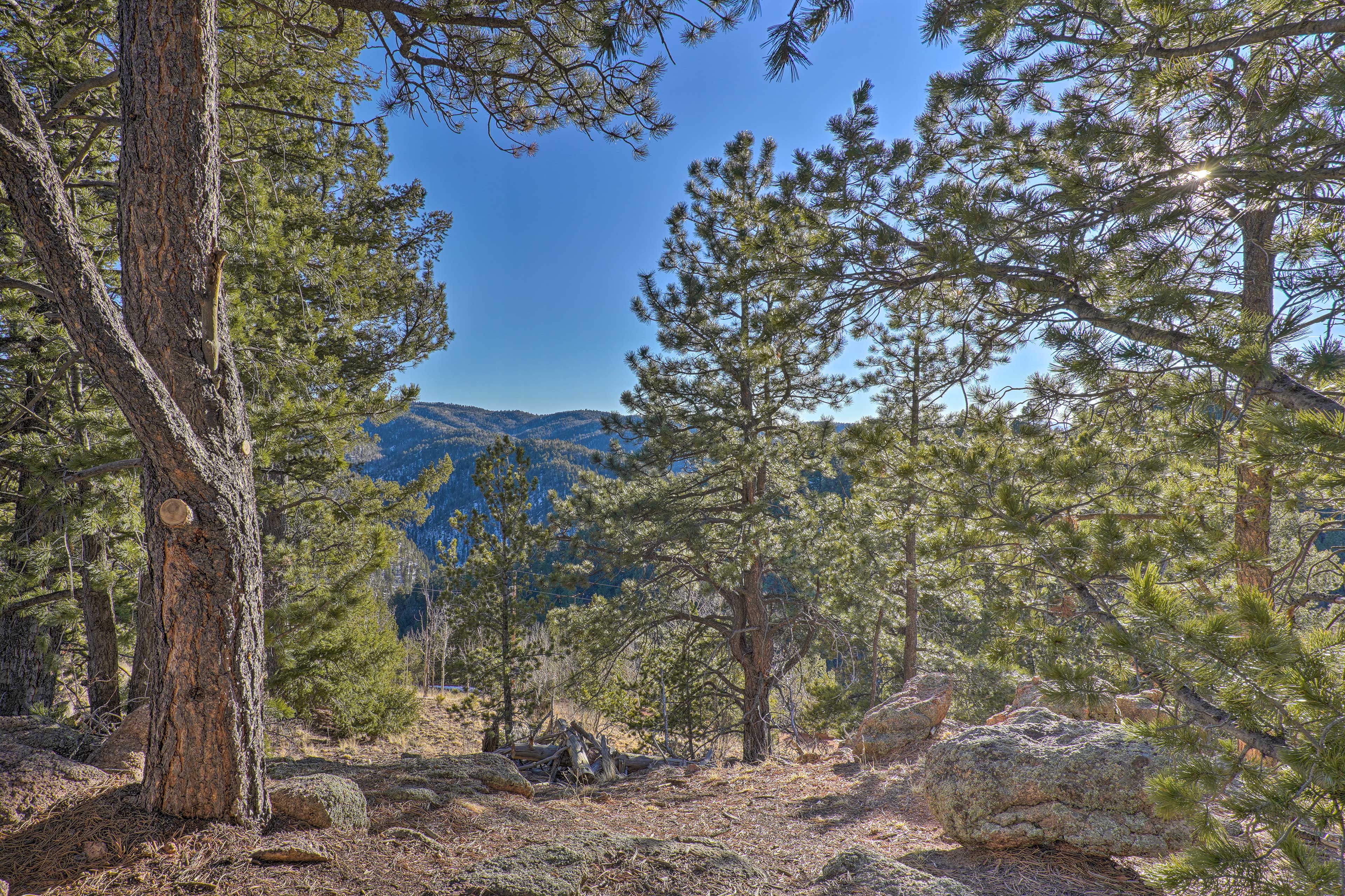 Property Image 2 - Divide Cabin in the Heart of Colorful Colorado!