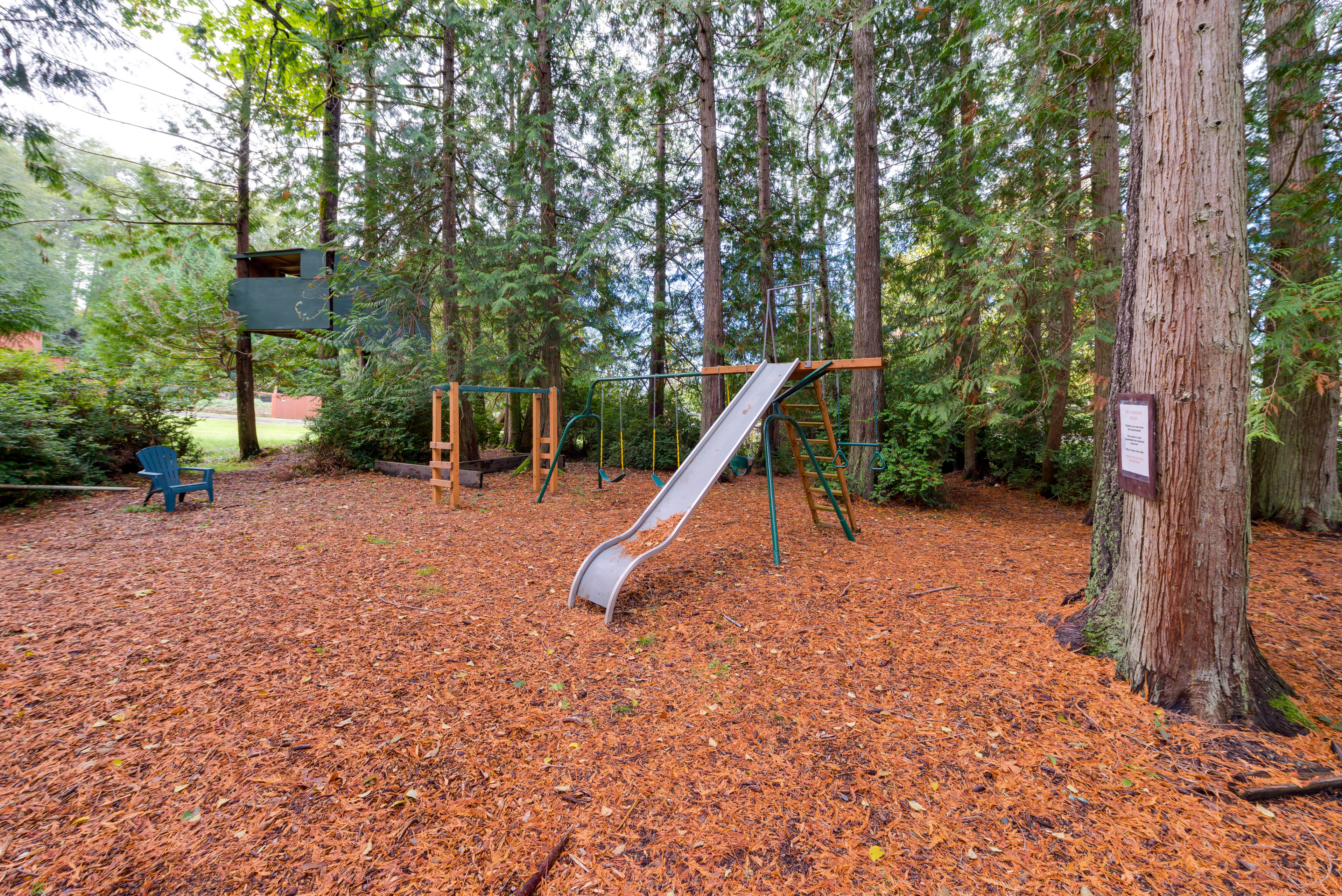 Property Image 2 - Herron Island Cabin w/ Deck: Walk to Beach!