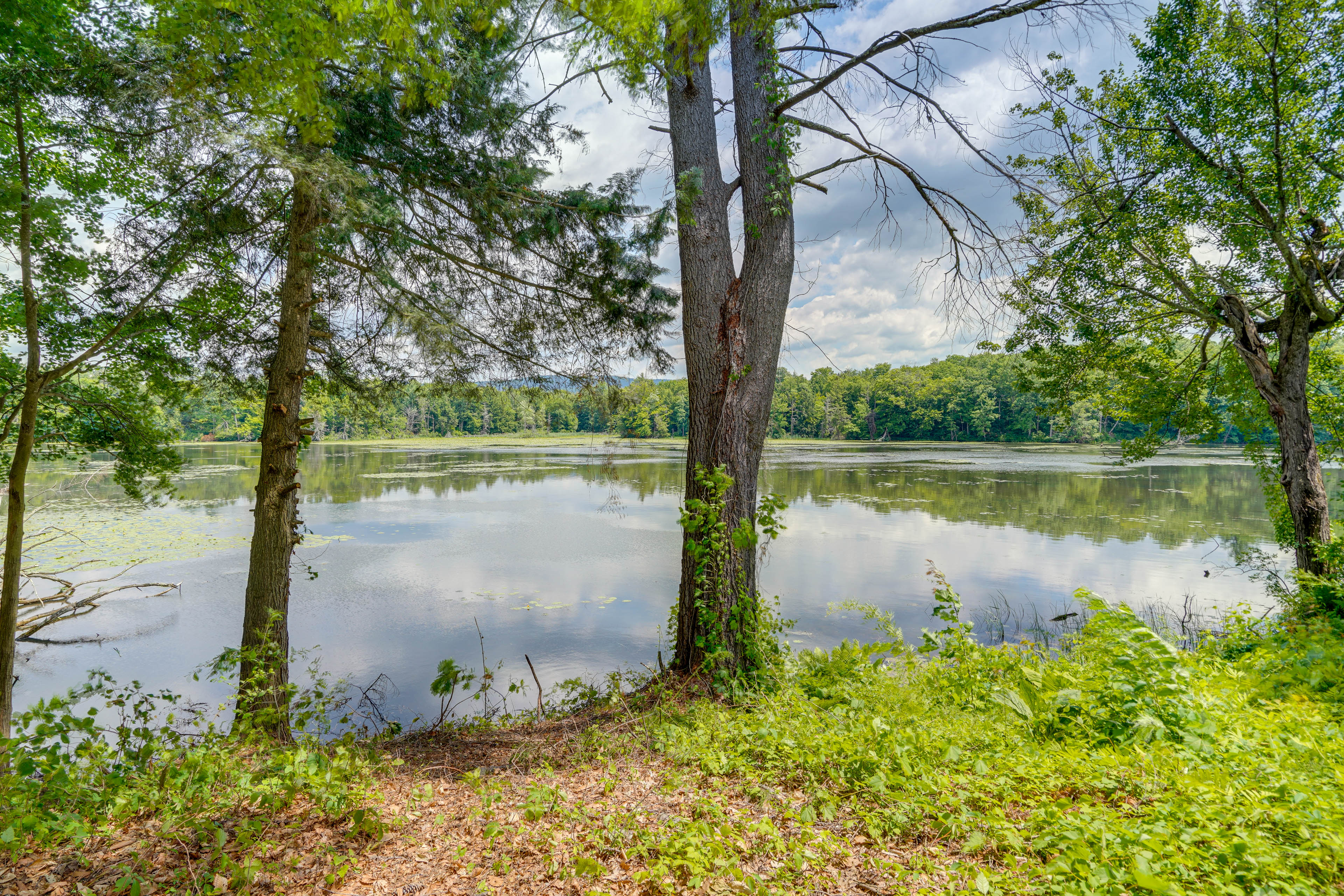 Property Image 2 - Waterview Home in the Berkshires: Near Hiking