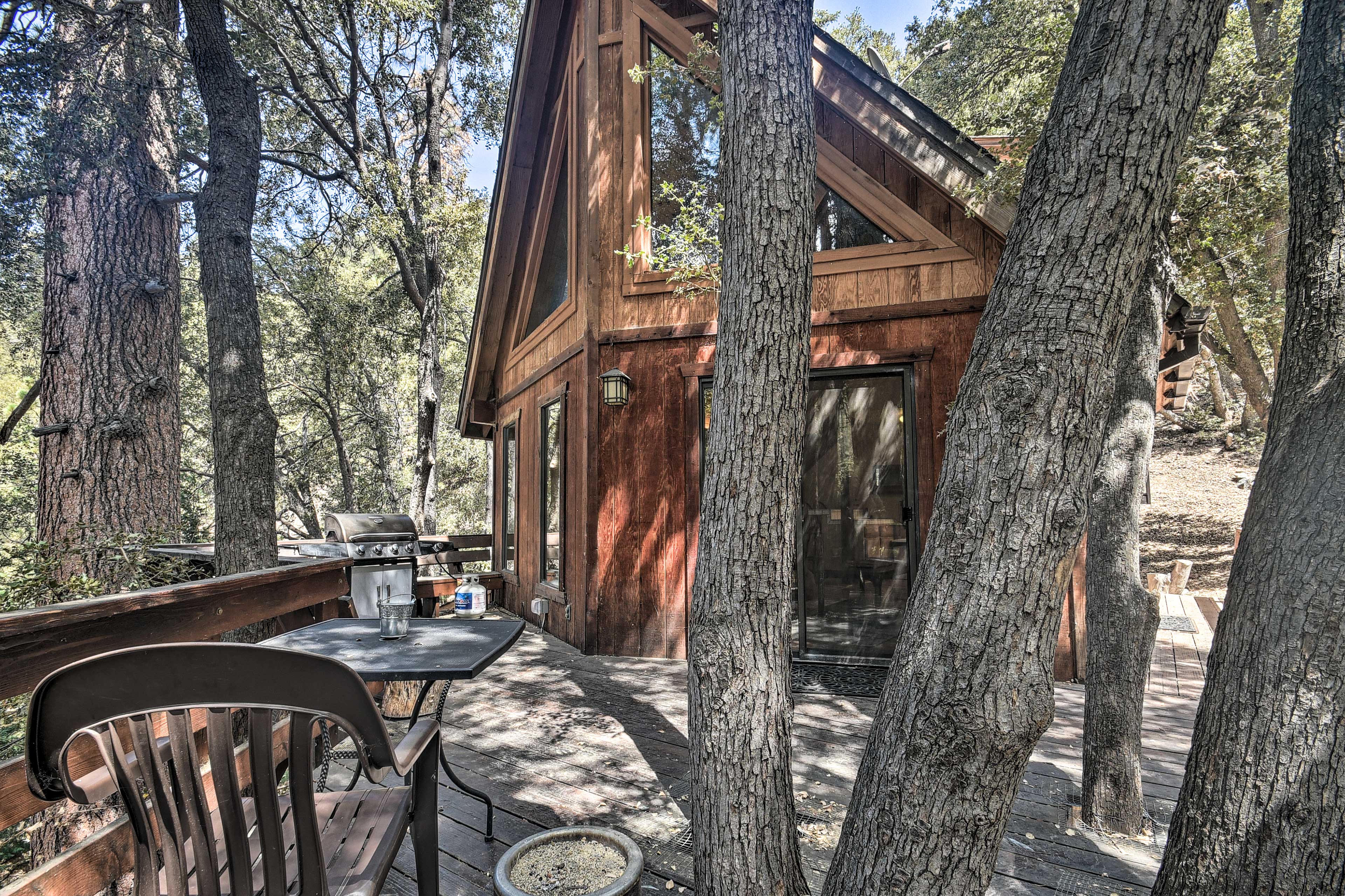 Property Image 1 - Updated ’Tree House’ Pine Mtn Club Cabin by Trails