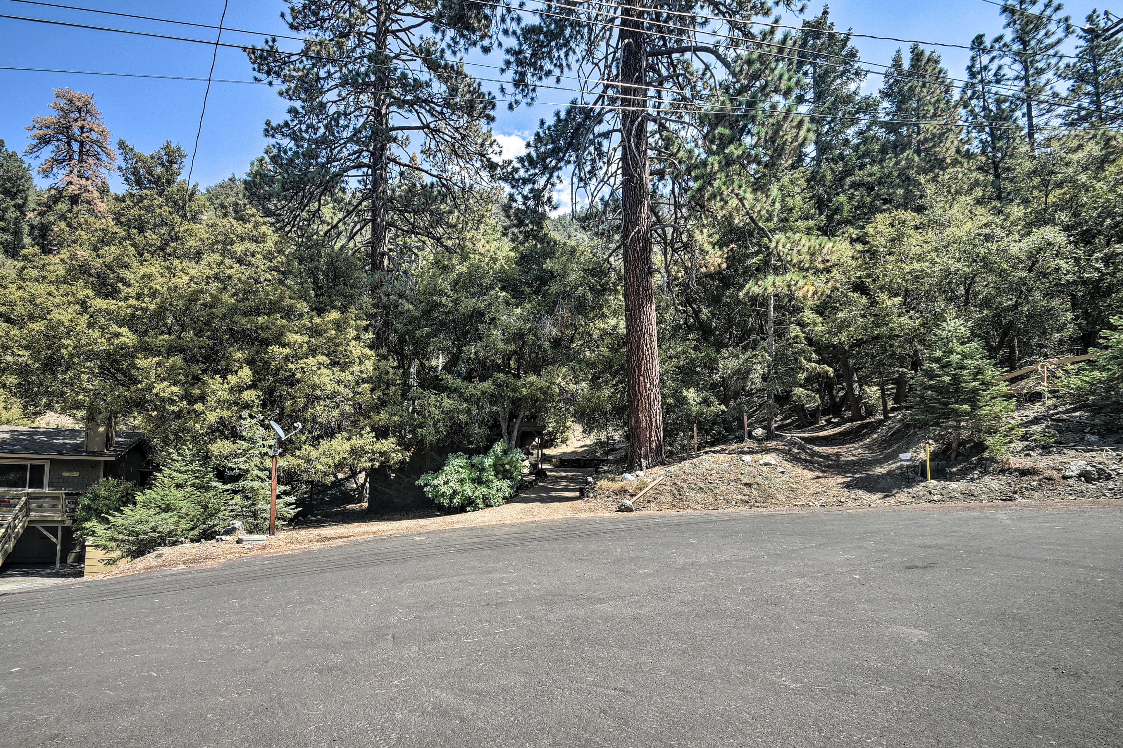 Property Image 1 - Updated ’Tree House’ Pine Mtn Club Cabin by Trails