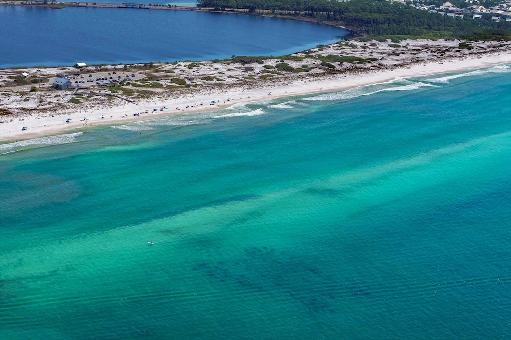 Sea Turtle Reef-Grayton Beach State Park