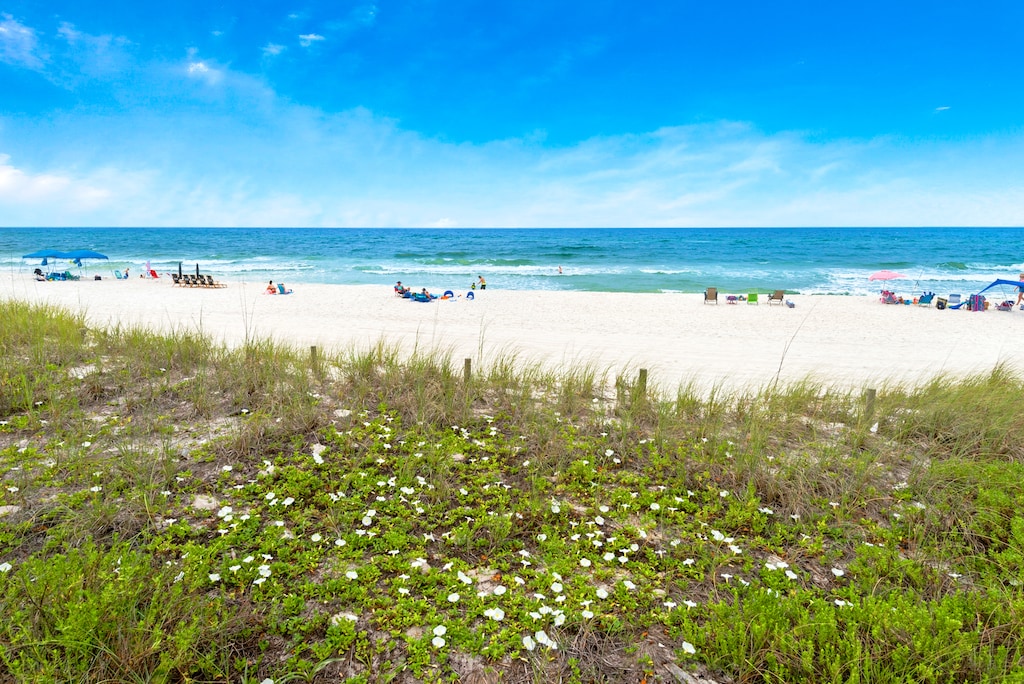Summer Blooms on the Dunes