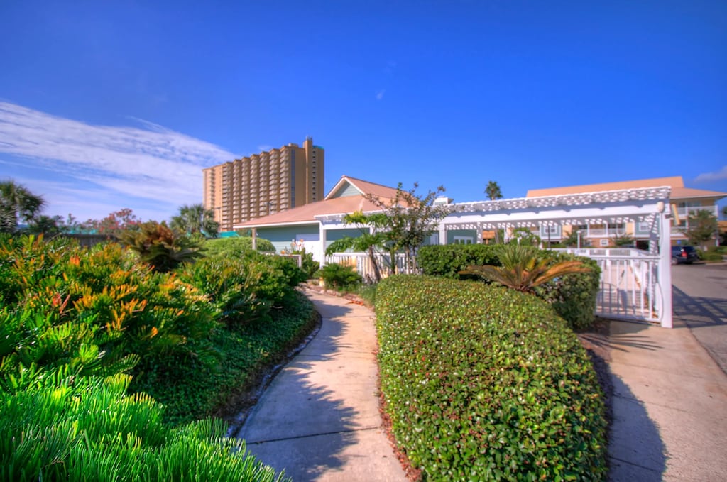 Lush Tropical Landscaping 