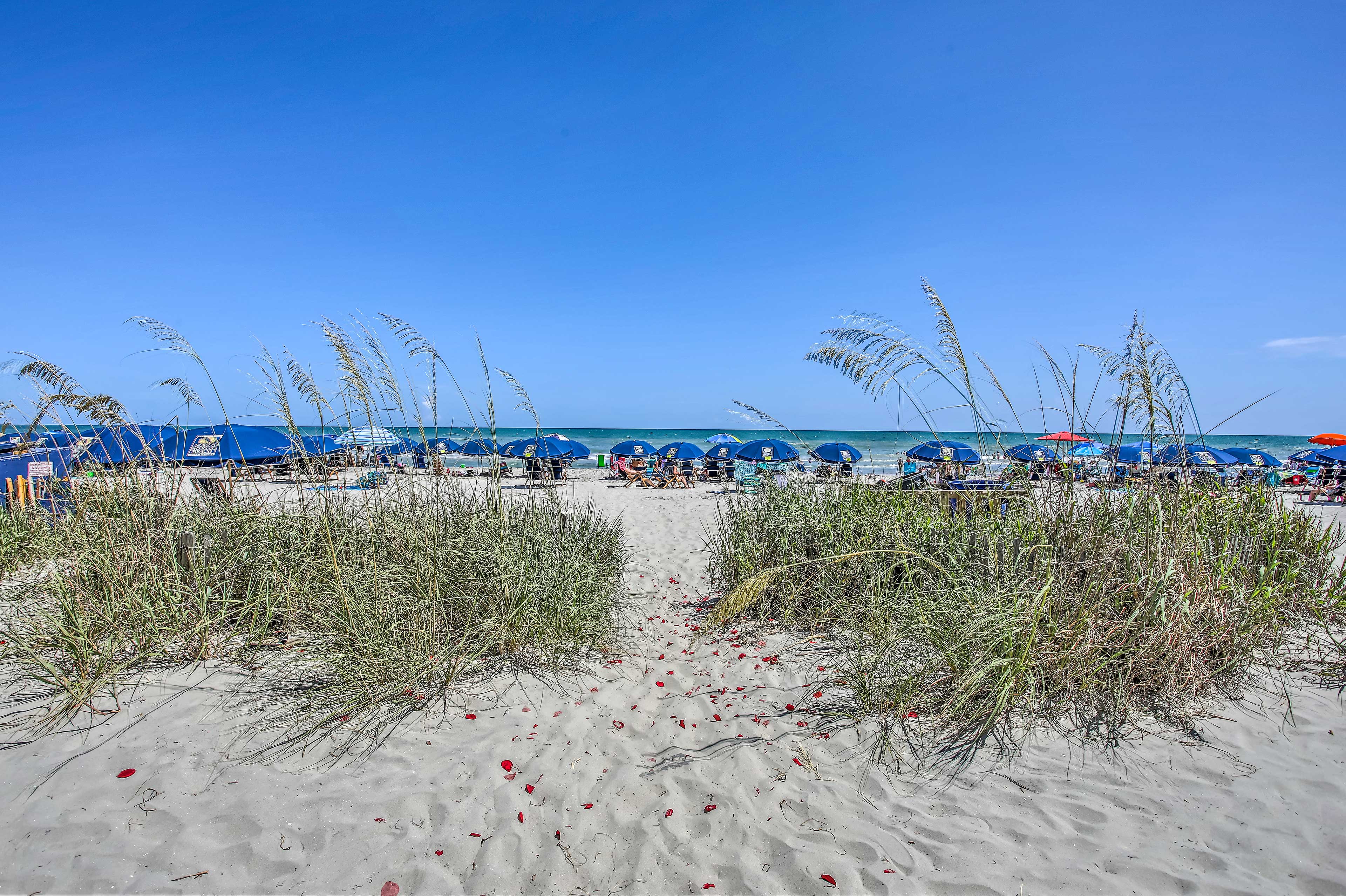 Property Image 2 - Oceanfront Resort Condo in North Myrtle Beach