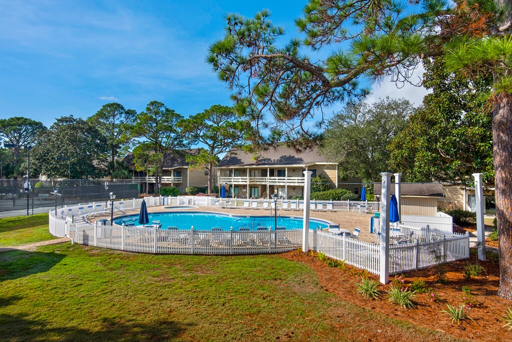 Pool Views from Fish out of Water