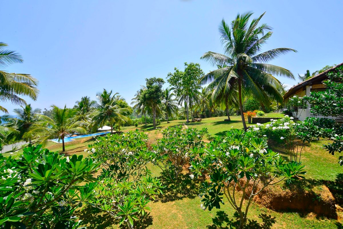 Property Image 1 - Family beach villa with 4 bedrooms overlooking the surf horseshoe Hiriketiya beach 