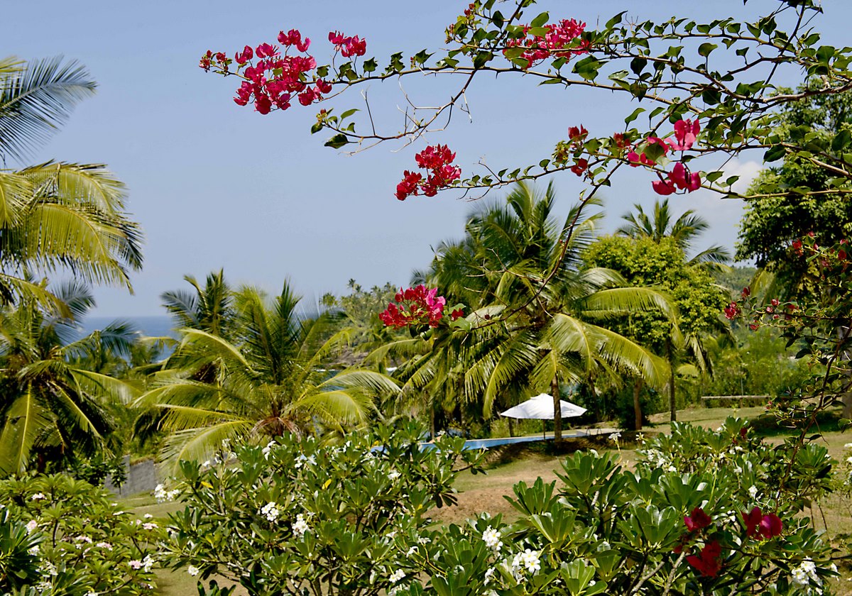 Property Image 2 - Family beach villa with 4 bedrooms overlooking the surf horseshoe Hiriketiya beach 