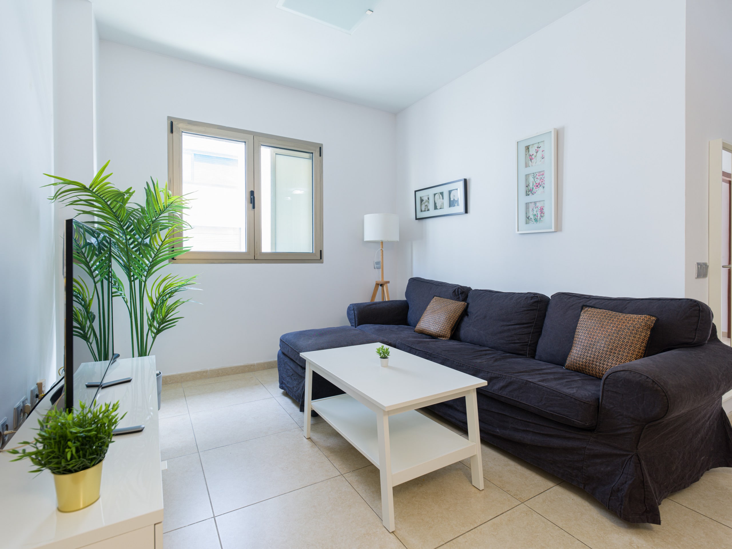 Property Image 1 - Montevideo