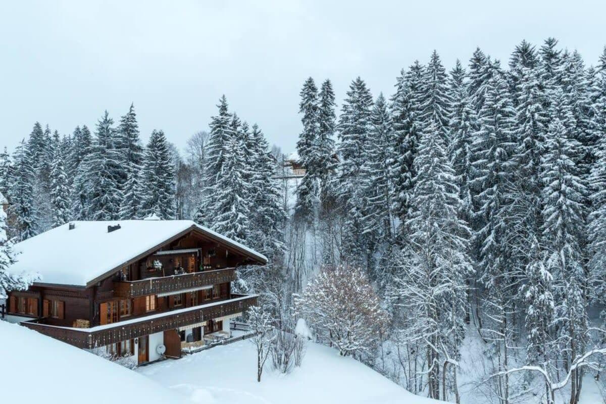 Cozy Apt Overlooking the Gstaad Mountain Area