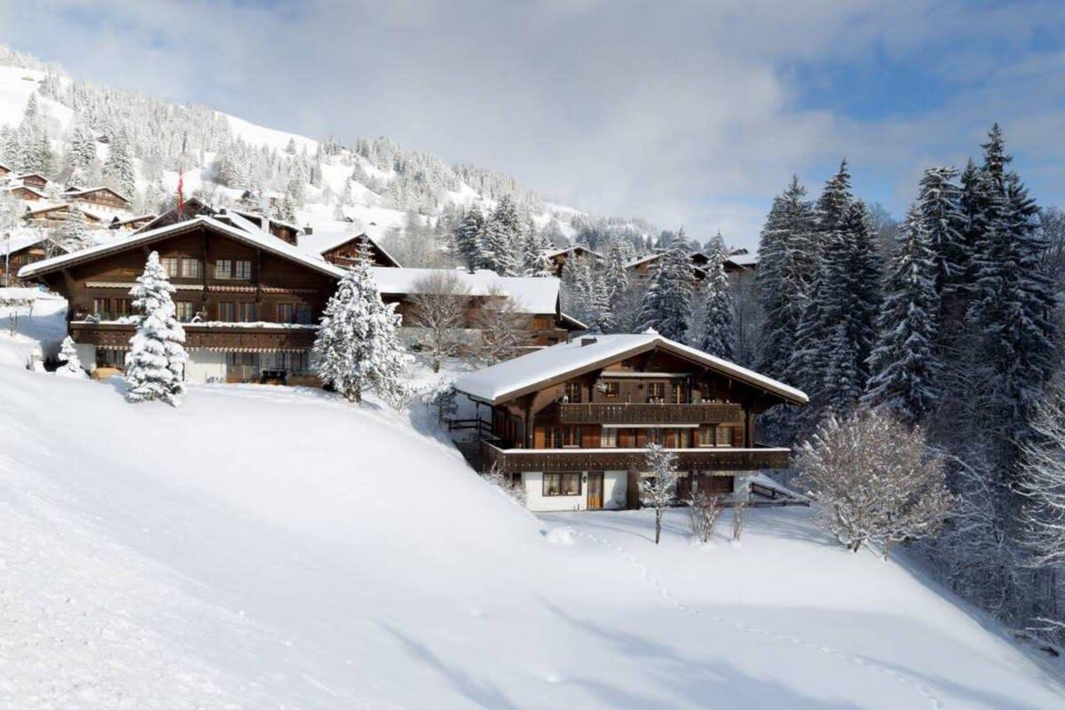 Property Image 2 - Cozy Apt Overlooking the Gstaad Mountain Area