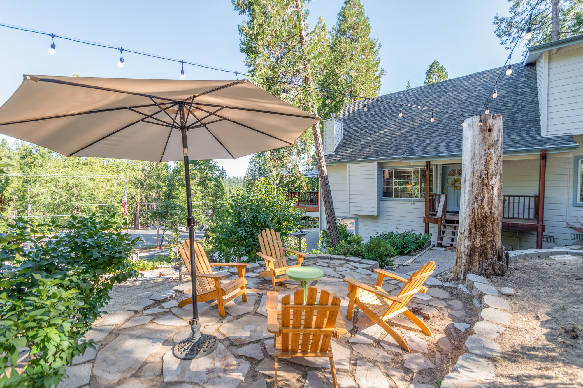 Welcome to Bear House!