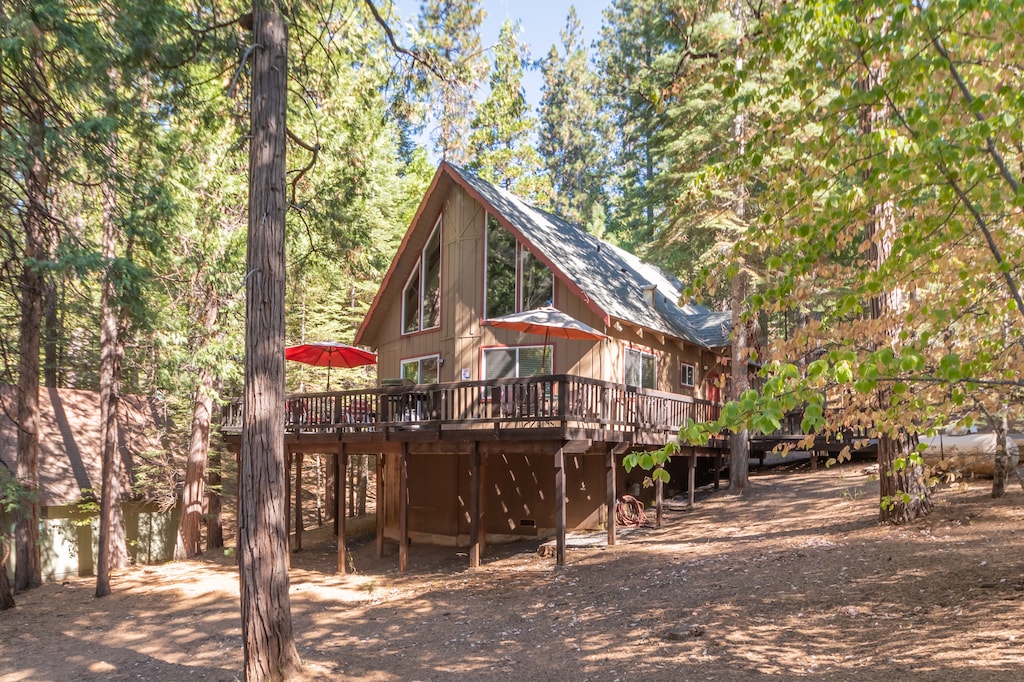 Privacy Among The Pines