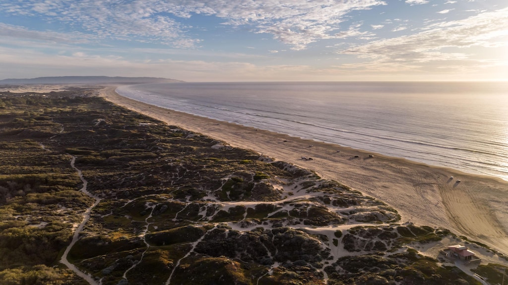 The Pacific shoreline.