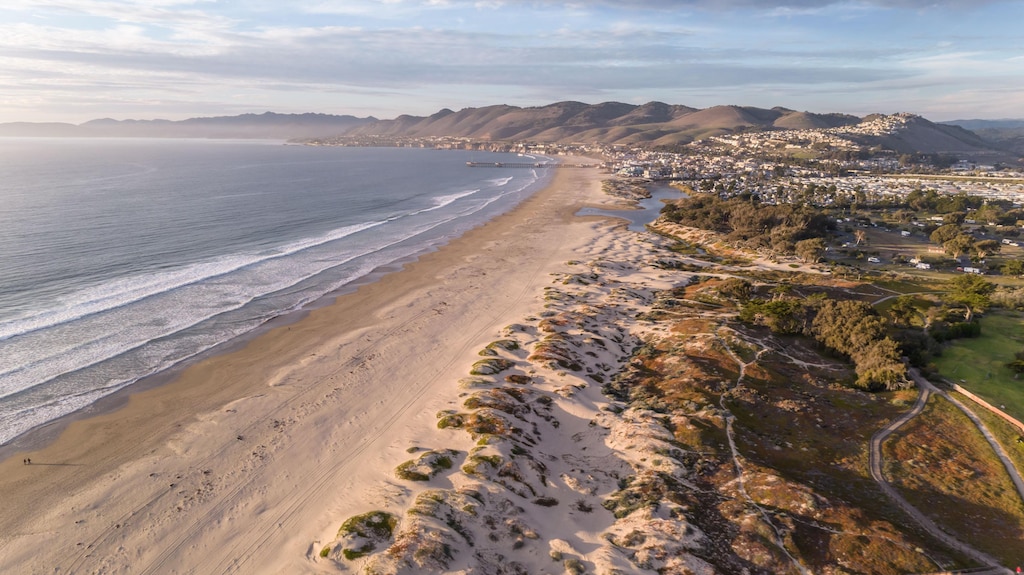 The Pacific shoreline.